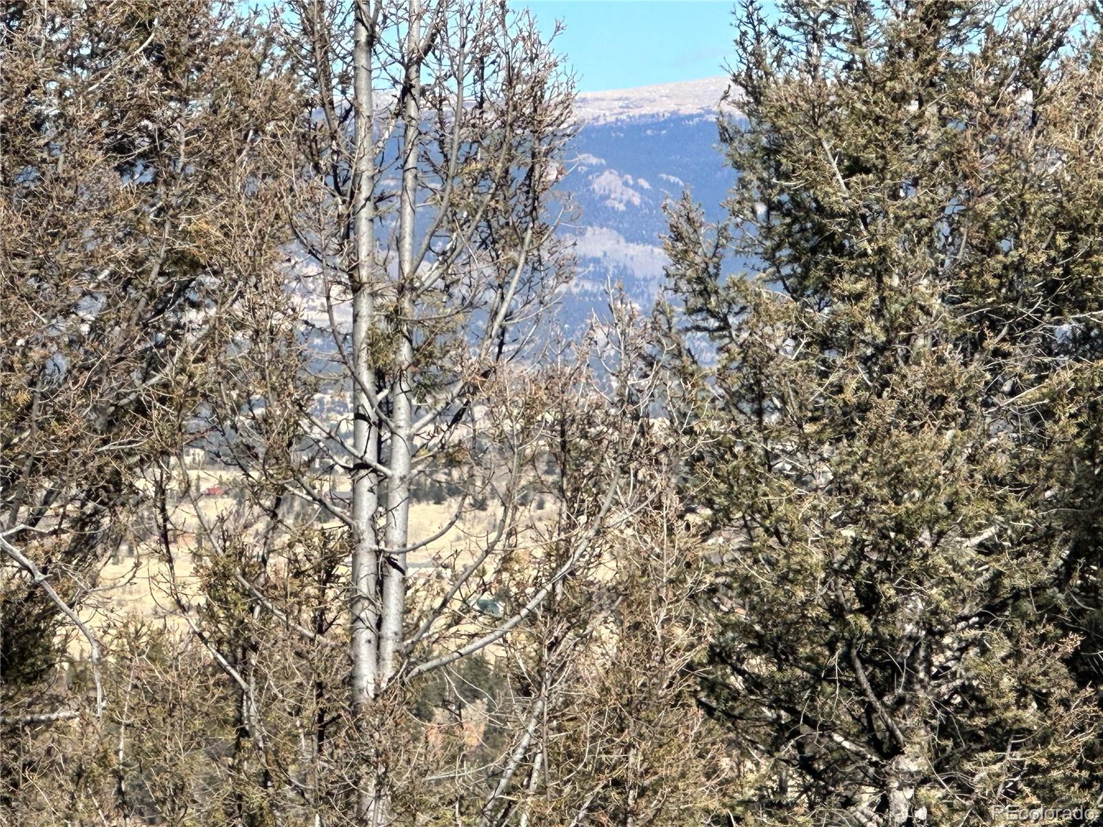 879 Bowstring Road, Como, CO 80432, ,Land,For Sale,Bowstring,REC1547920