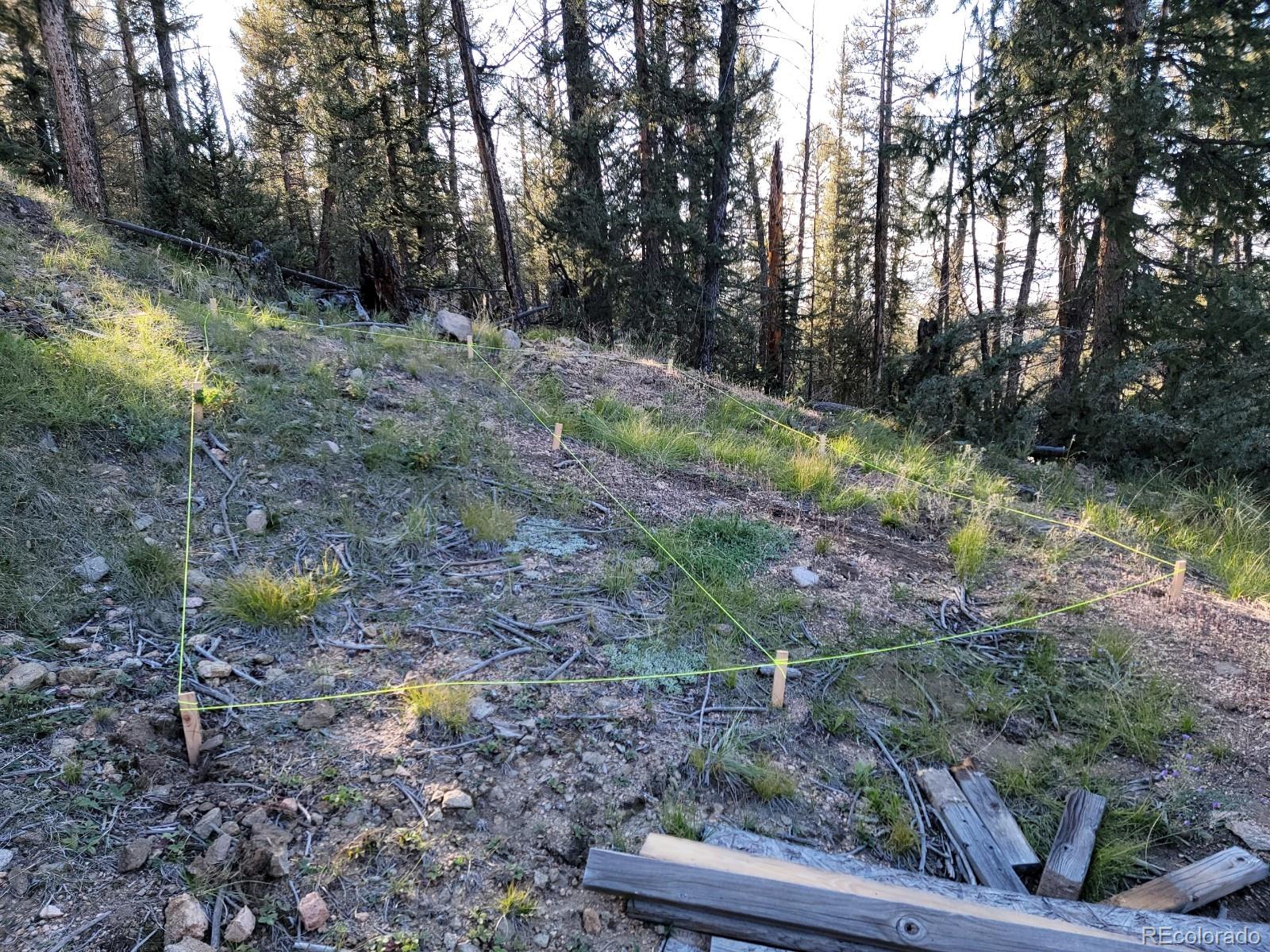 879 Bowstring Road, Como, CO 80432, ,Land,For Sale,Bowstring,REC1547920