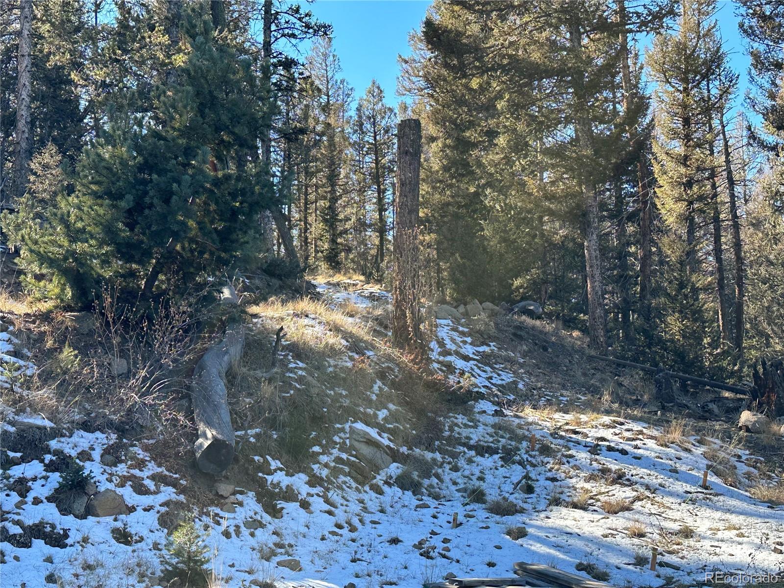 879 Bowstring Road, Como, CO 80432, ,Land,For Sale,Bowstring,REC1547920