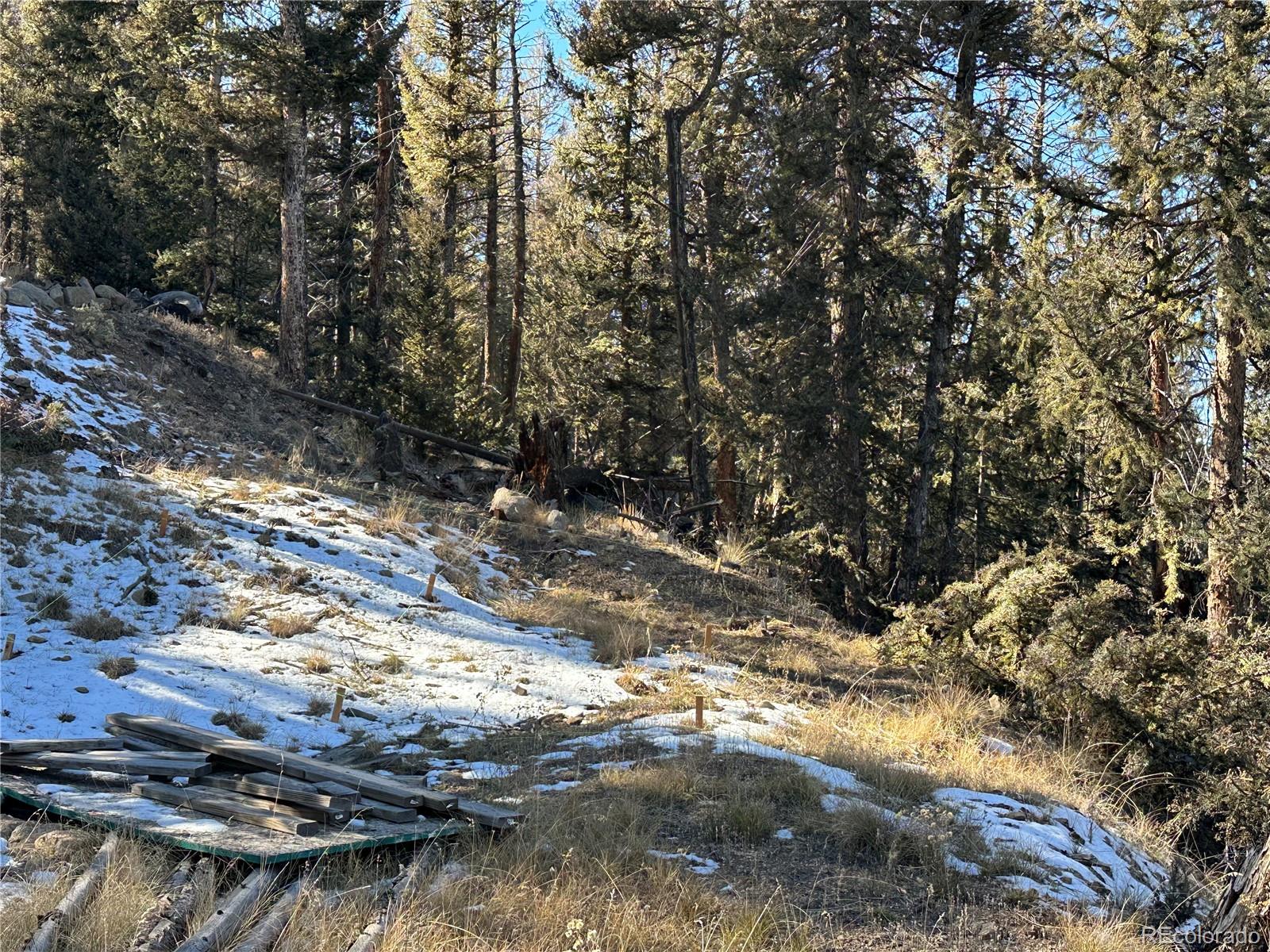 879 Bowstring Road, Como, CO 80432, ,Land,For Sale,Bowstring,REC1547920