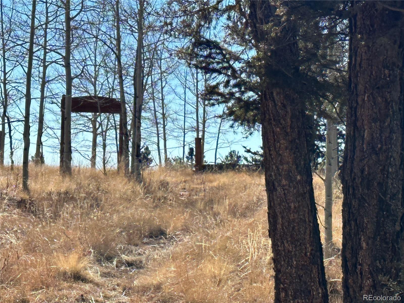 879 Bowstring Road, Como, CO 80432, ,Land,For Sale,Bowstring,REC1547920