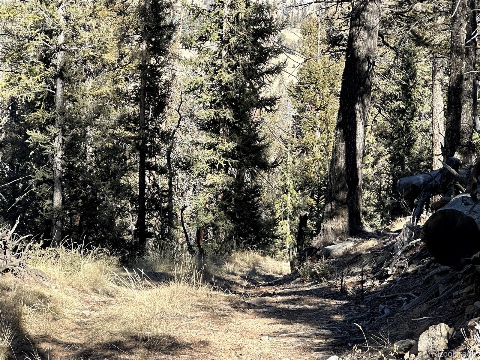 879 Bowstring Road, Como, CO 80432, ,Land,For Sale,Bowstring,REC1547920