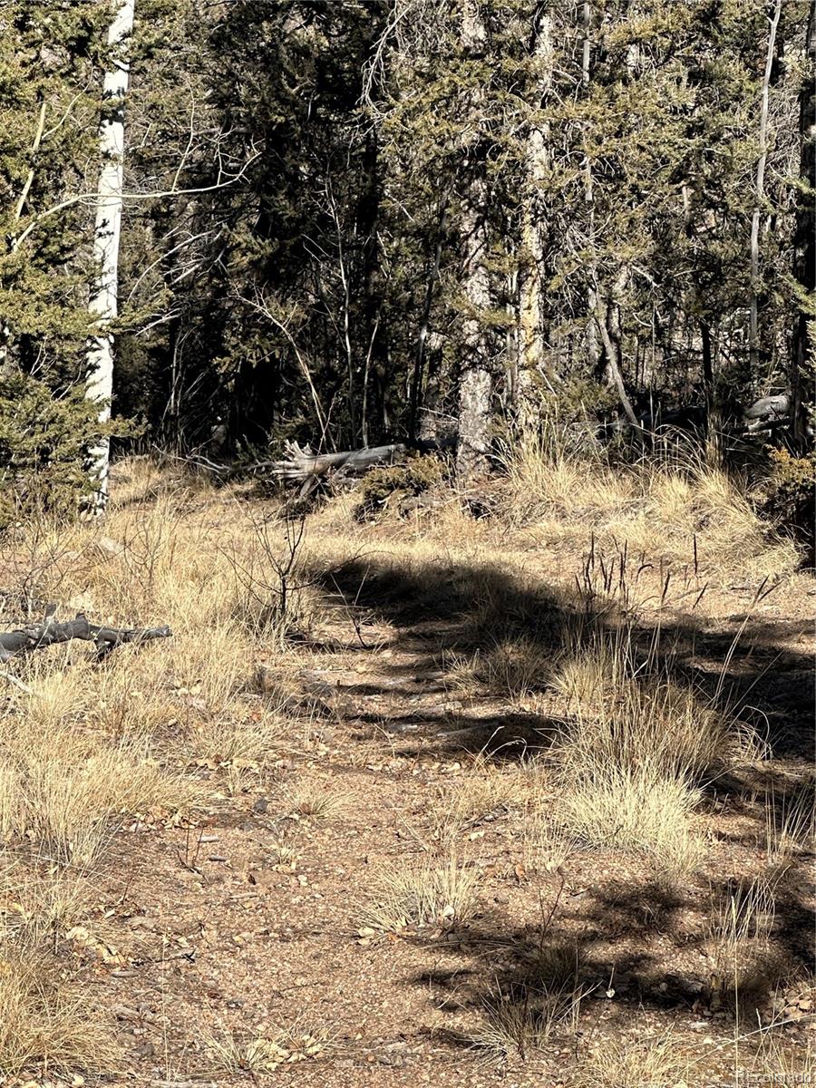 879 Bowstring Road, Como, CO 80432, ,Land,For Sale,Bowstring,REC1547920