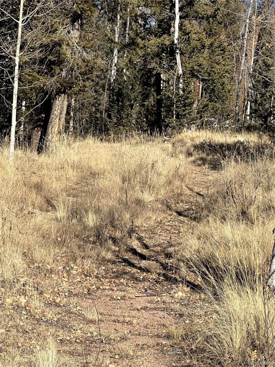 879 Bowstring Road, Como, CO 80432, ,Land,For Sale,Bowstring,REC1547920