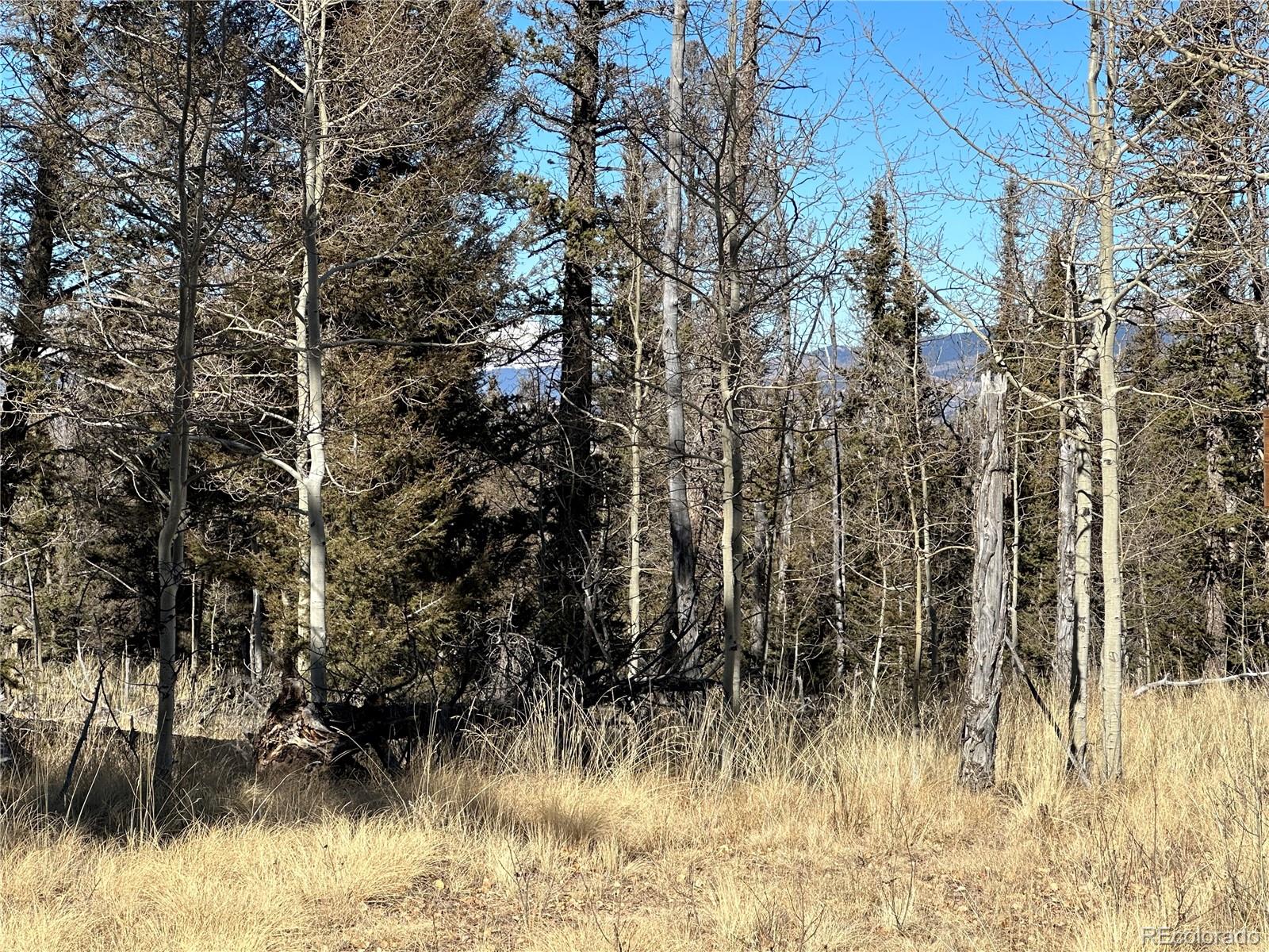 879 Bowstring Road, Como, CO 80432, ,Land,For Sale,Bowstring,REC1547920