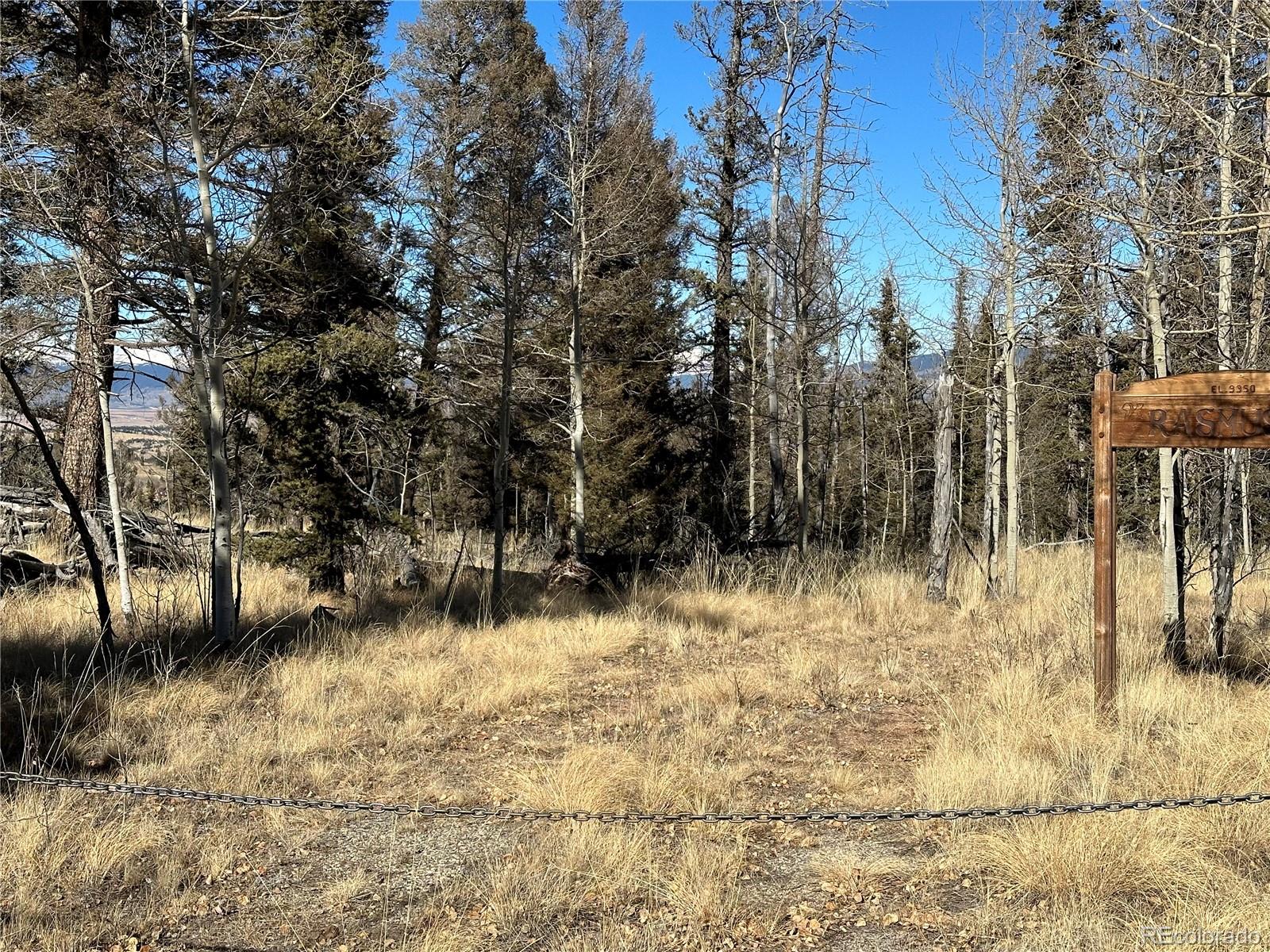 879 Bowstring Road, Como, CO 80432, ,Land,For Sale,Bowstring,REC1547920