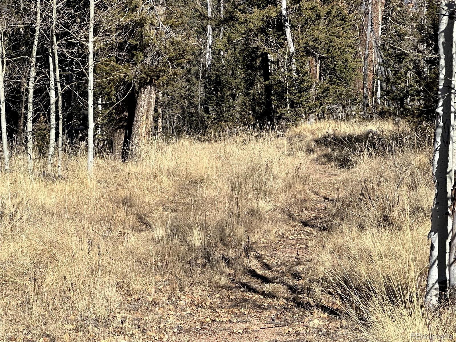 879 Bowstring Road, Como, CO 80432, ,Land,For Sale,Bowstring,REC1547920