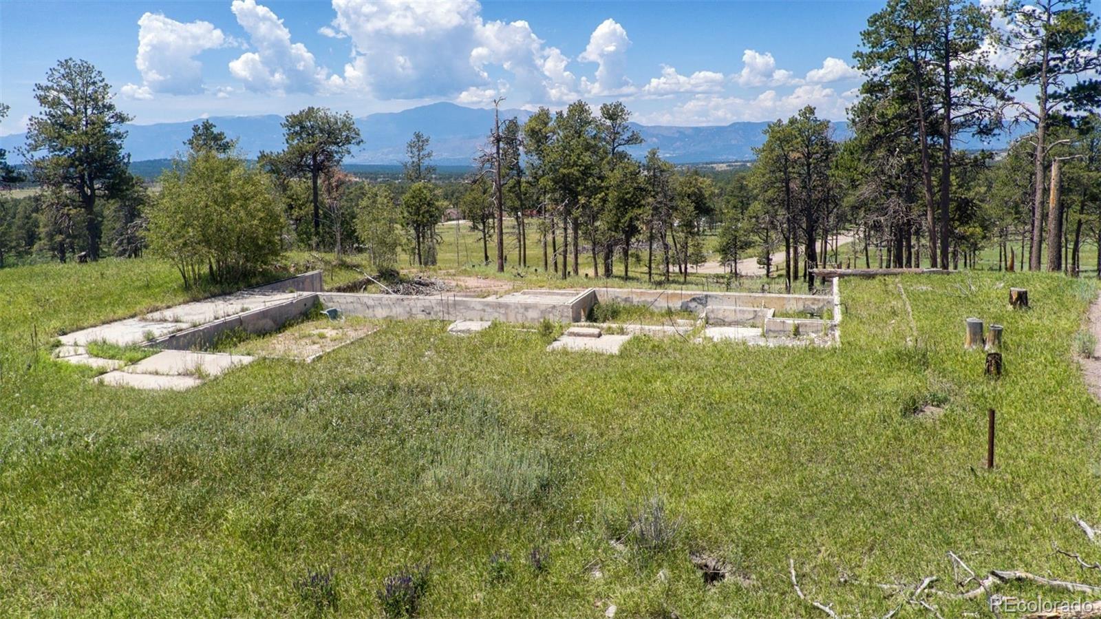 8230 Danford Road, Colorado Springs, CO 80908, ,Land,For Sale,Danford,REC2875975