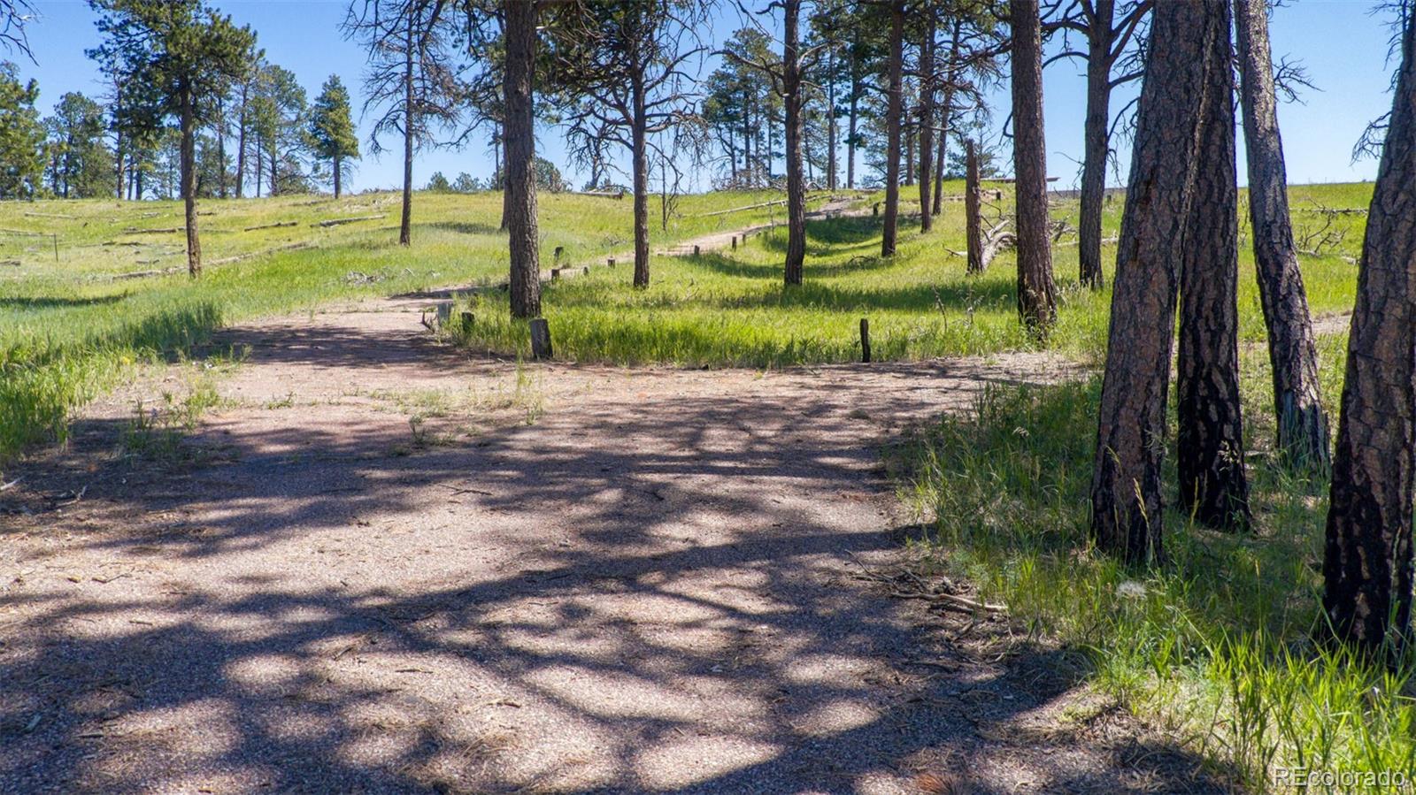 8230 Danford Road, Colorado Springs, CO 80908, ,Land,For Sale,Danford,REC2875975