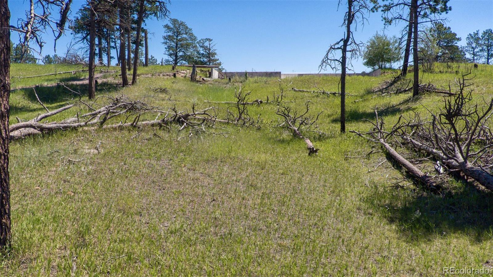 8230 Danford Road, Colorado Springs, CO 80908, ,Land,For Sale,Danford,REC2875975