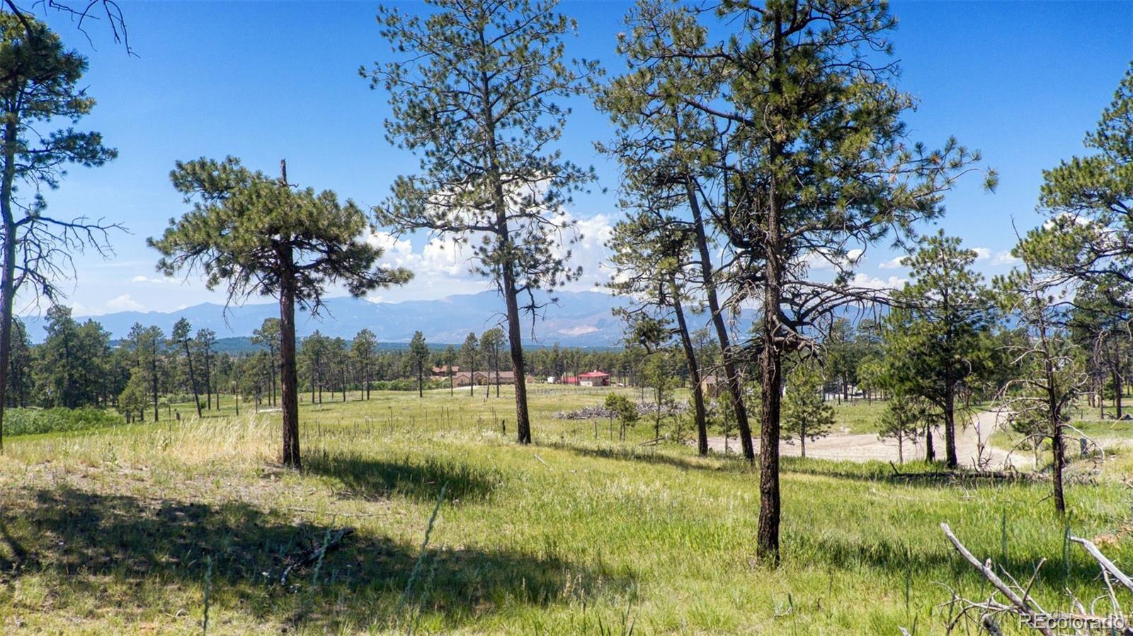8230 Danford Road, Colorado Springs, CO 80908, ,Land,For Sale,Danford,REC2875975