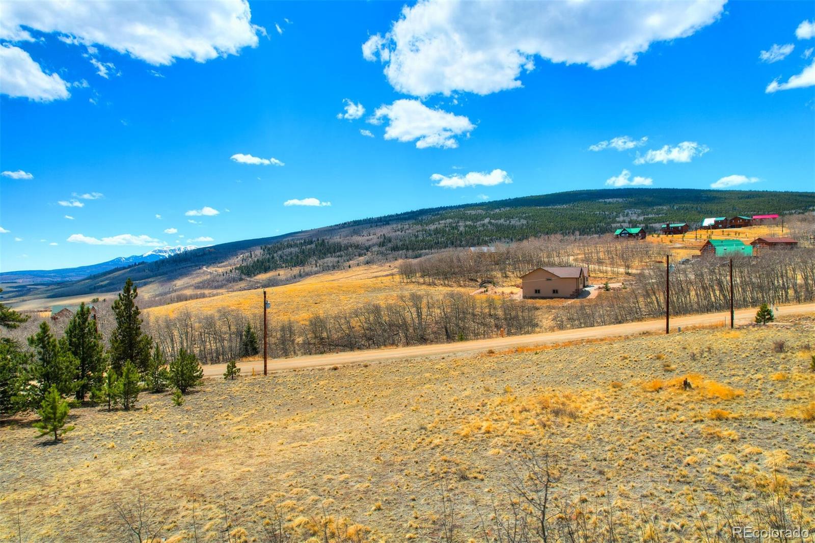 Lot 203 High Creek Road, Fairplay, CO 80440, 3 Bedrooms Bedrooms, ,3 BathroomsBathrooms,Residential,For Sale,High Creek,REC5889552