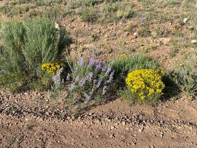 Eagle's Gate Road, Westcliffe, CO 81252, ,Land,For Sale,Eagle's Gate,REC5110146