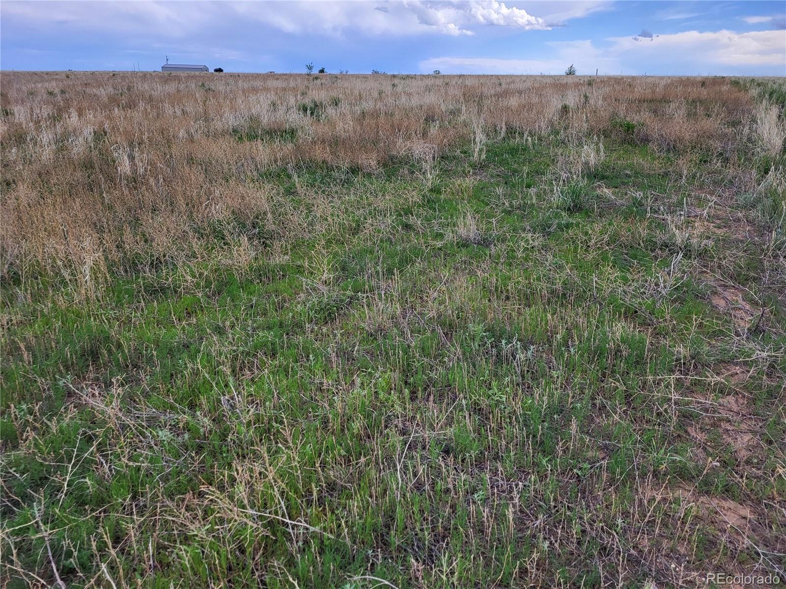 40450 Hoot Owl Road, Ramah, CO 80832, ,Land,For Sale,Hoot Owl,REC7195137