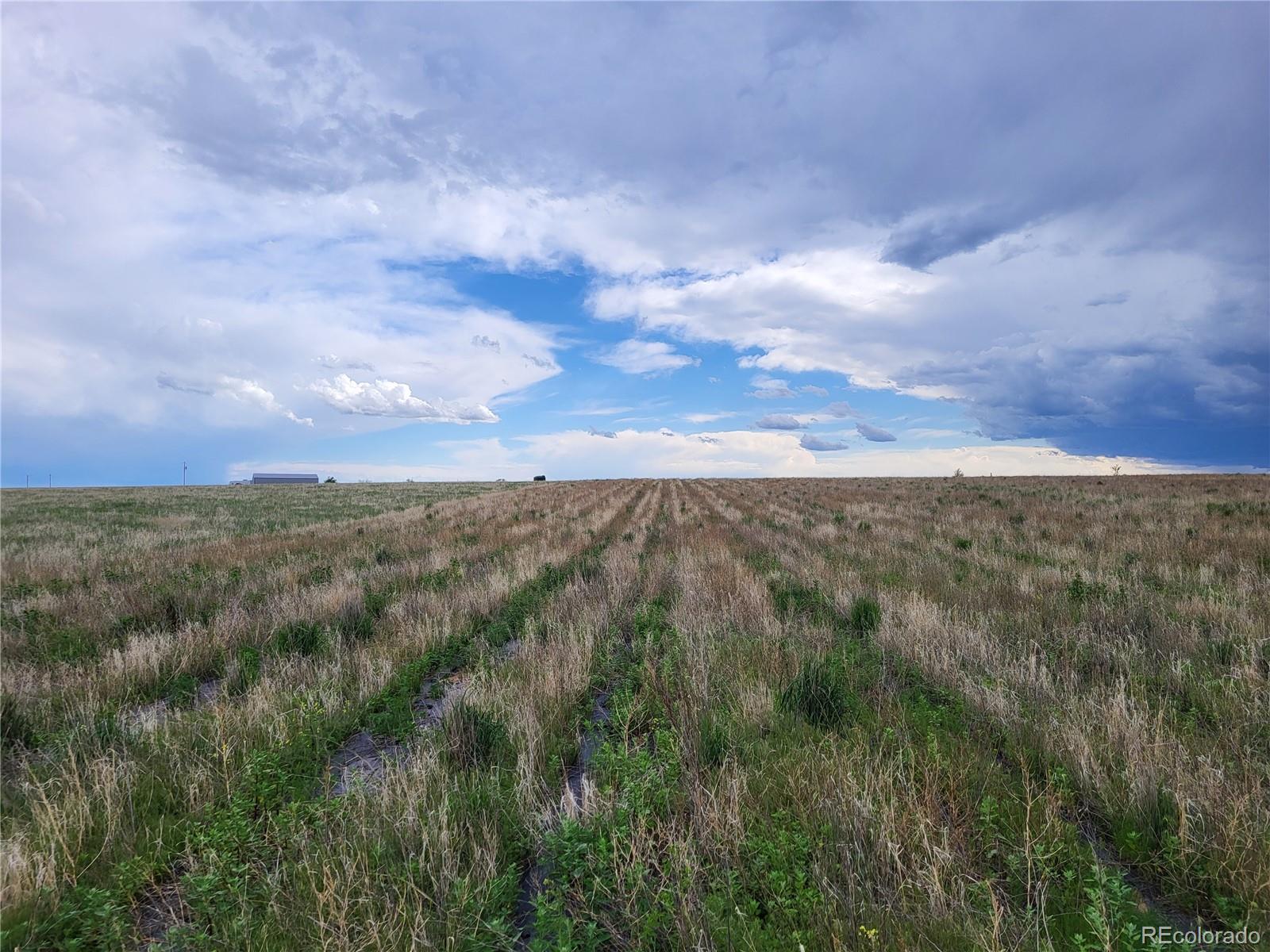 40450 Hoot Owl Road, Ramah, CO 80832, ,Land,For Sale,Hoot Owl,REC7195137