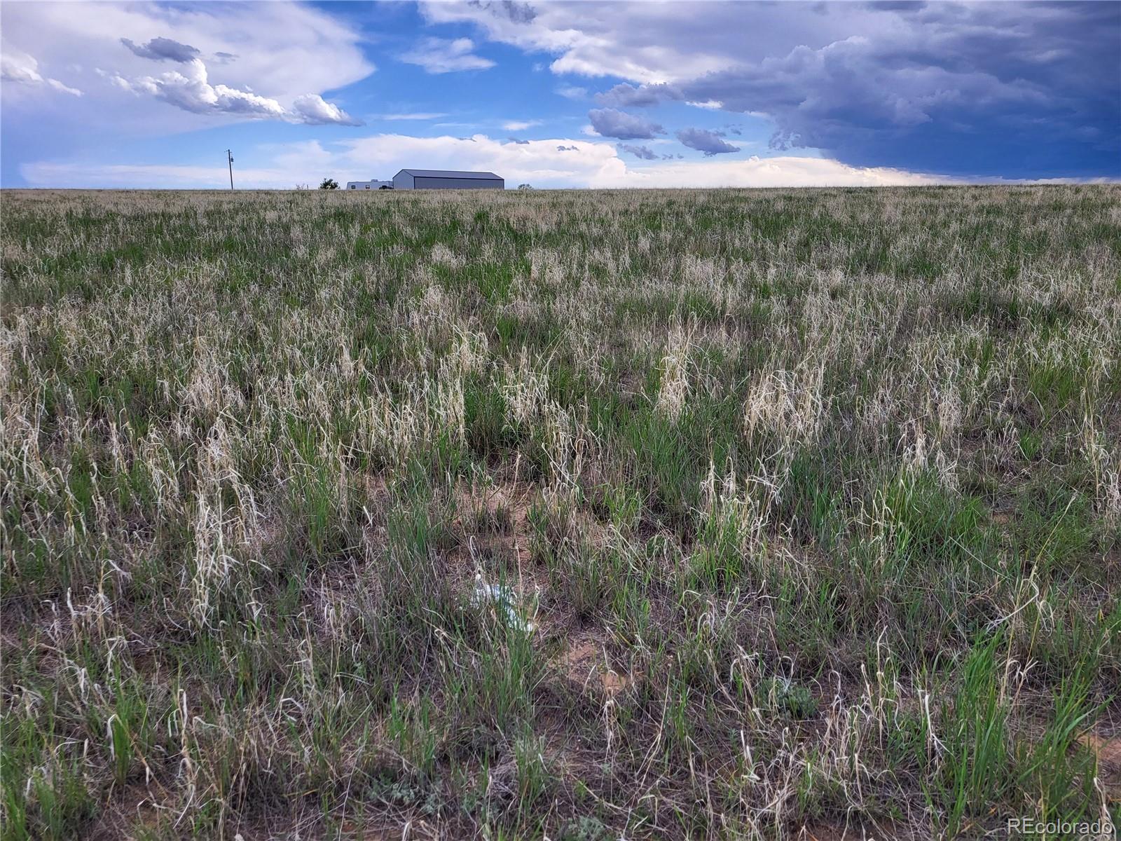 40450 Hoot Owl Road, Ramah, CO 80832, ,Land,For Sale,Hoot Owl,REC7195137