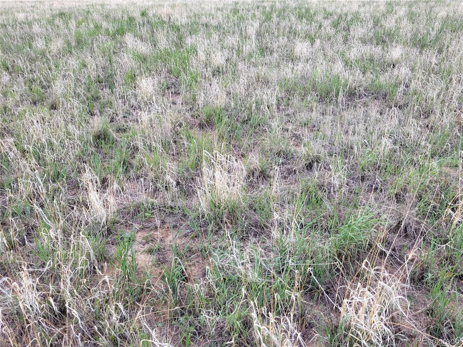 40450 Hoot Owl Road, Ramah, CO 80832, ,Land,For Sale,Hoot Owl,REC7195137