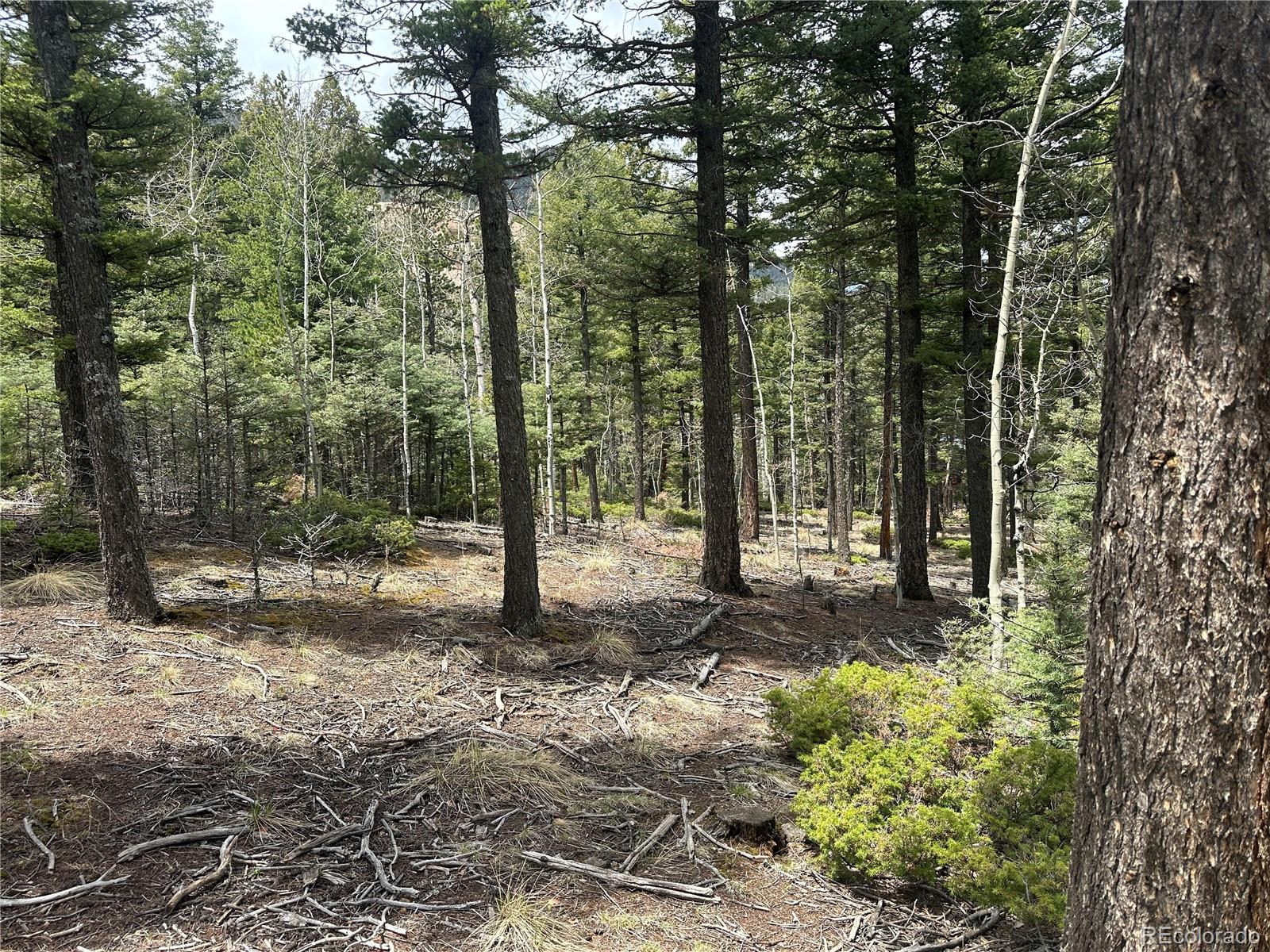 357 Big Horn, Manitou Springs, CO 80829, ,Land,For Sale,Big Horn,REC9162027