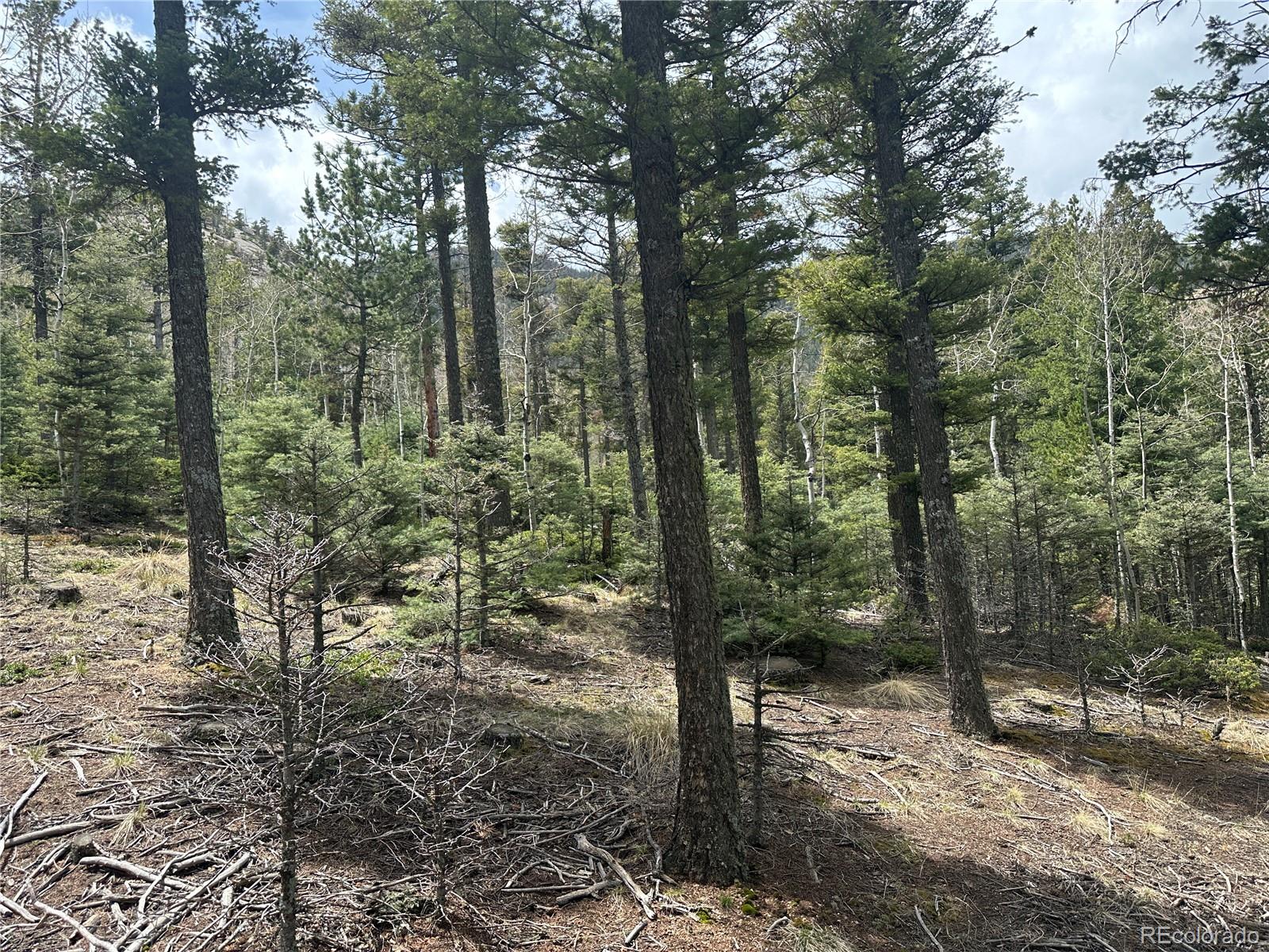 357 Big Horn, Manitou Springs, CO 80829, ,Land,For Sale,Big Horn,REC9162027