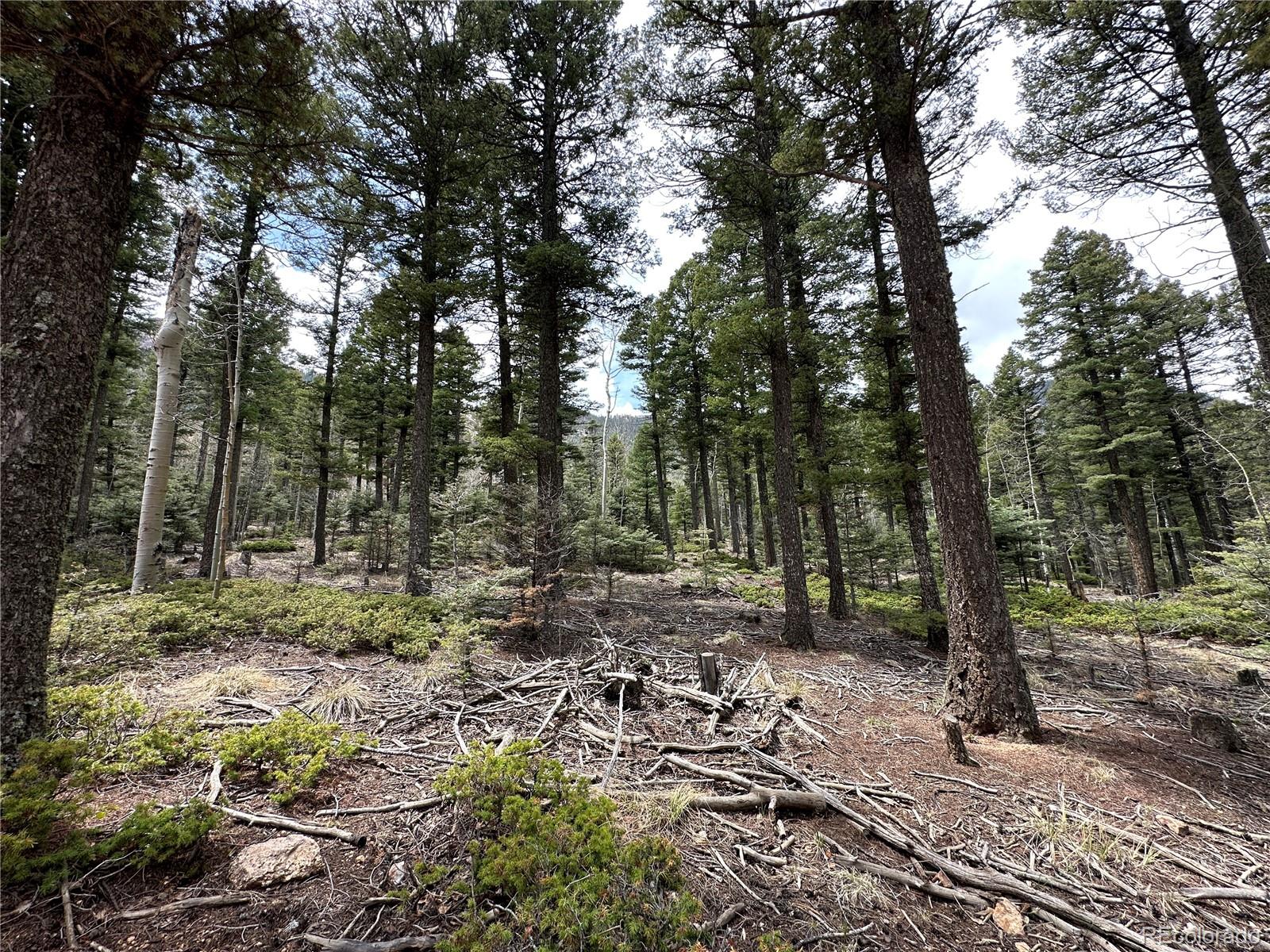 357 Big Horn, Manitou Springs, CO 80829, ,Land,For Sale,Big Horn,REC9162027