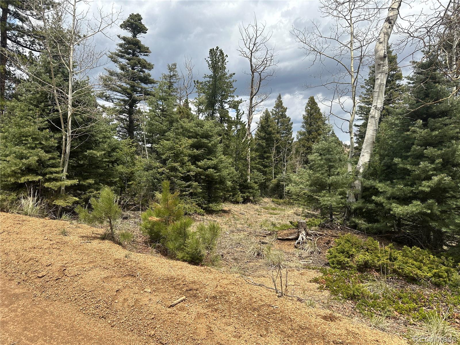 357 Big Horn, Manitou Springs, CO 80829, ,Land,For Sale,Big Horn,REC9162027