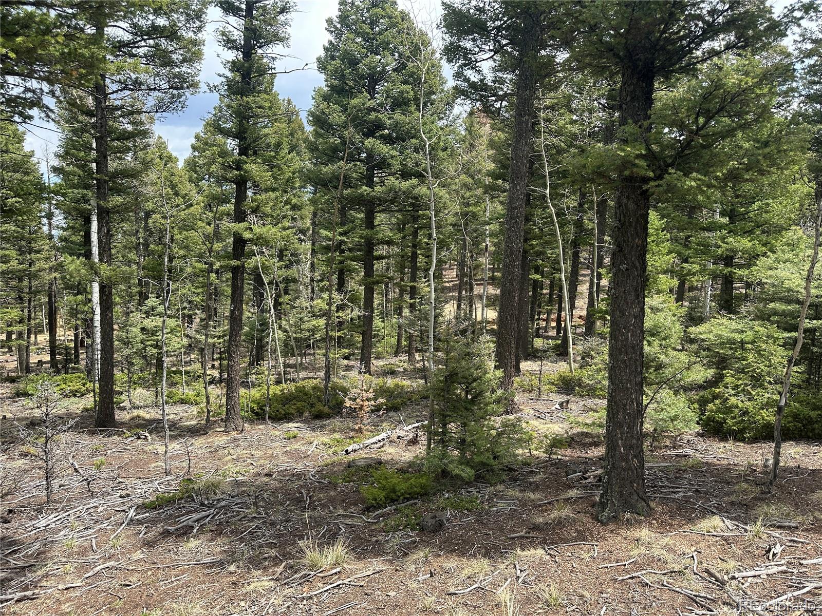 357 Big Horn, Manitou Springs, CO 80829, ,Land,For Sale,Big Horn,REC9162027