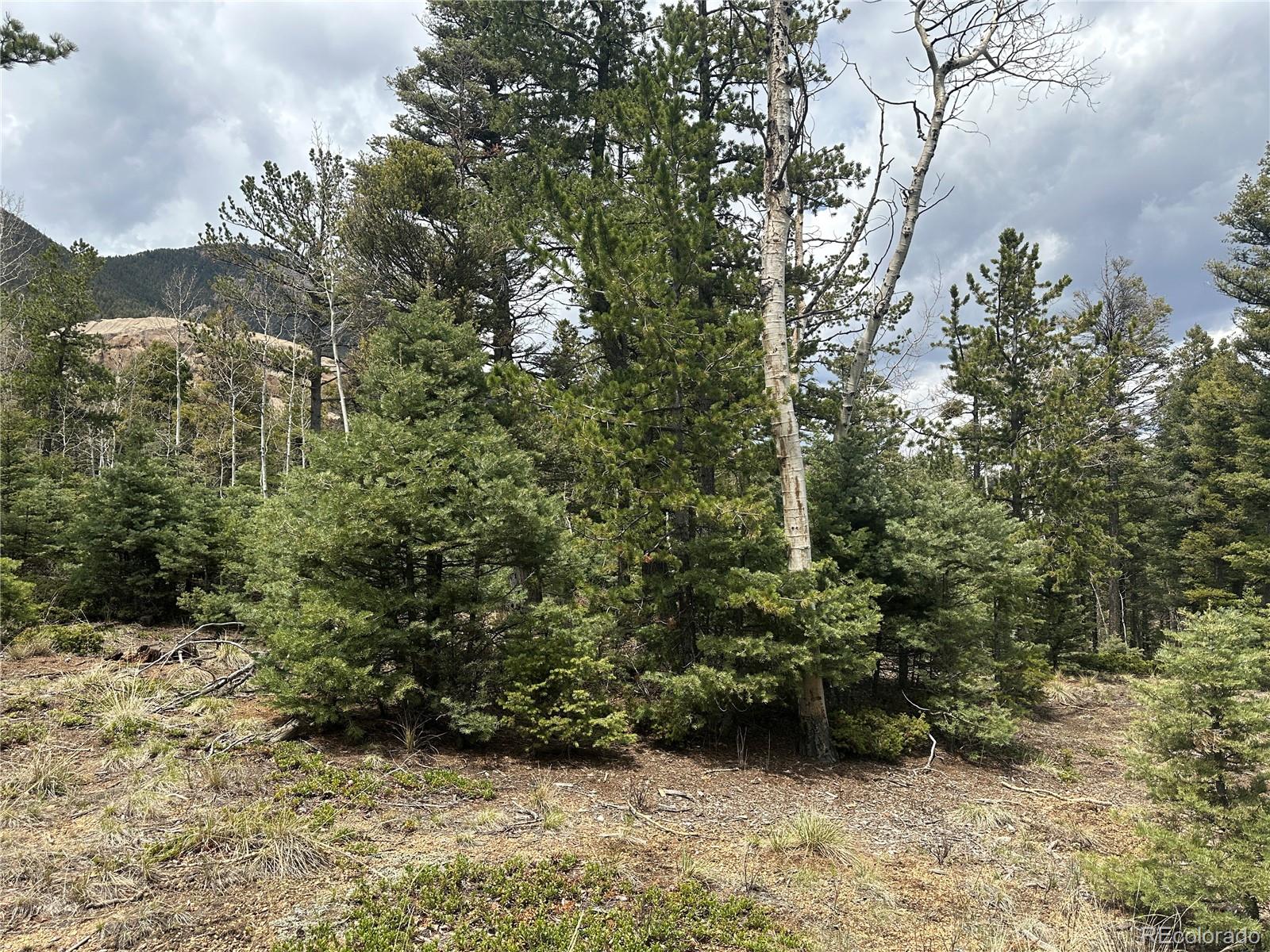 357 Big Horn, Manitou Springs, CO 80829, ,Land,For Sale,Big Horn,REC9162027