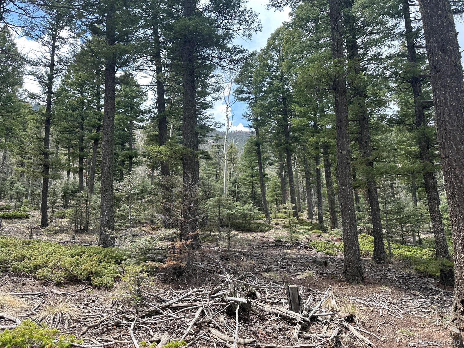 357 Big Horn, Manitou Springs, CO 80829, ,Land,For Sale,Big Horn,REC9162027