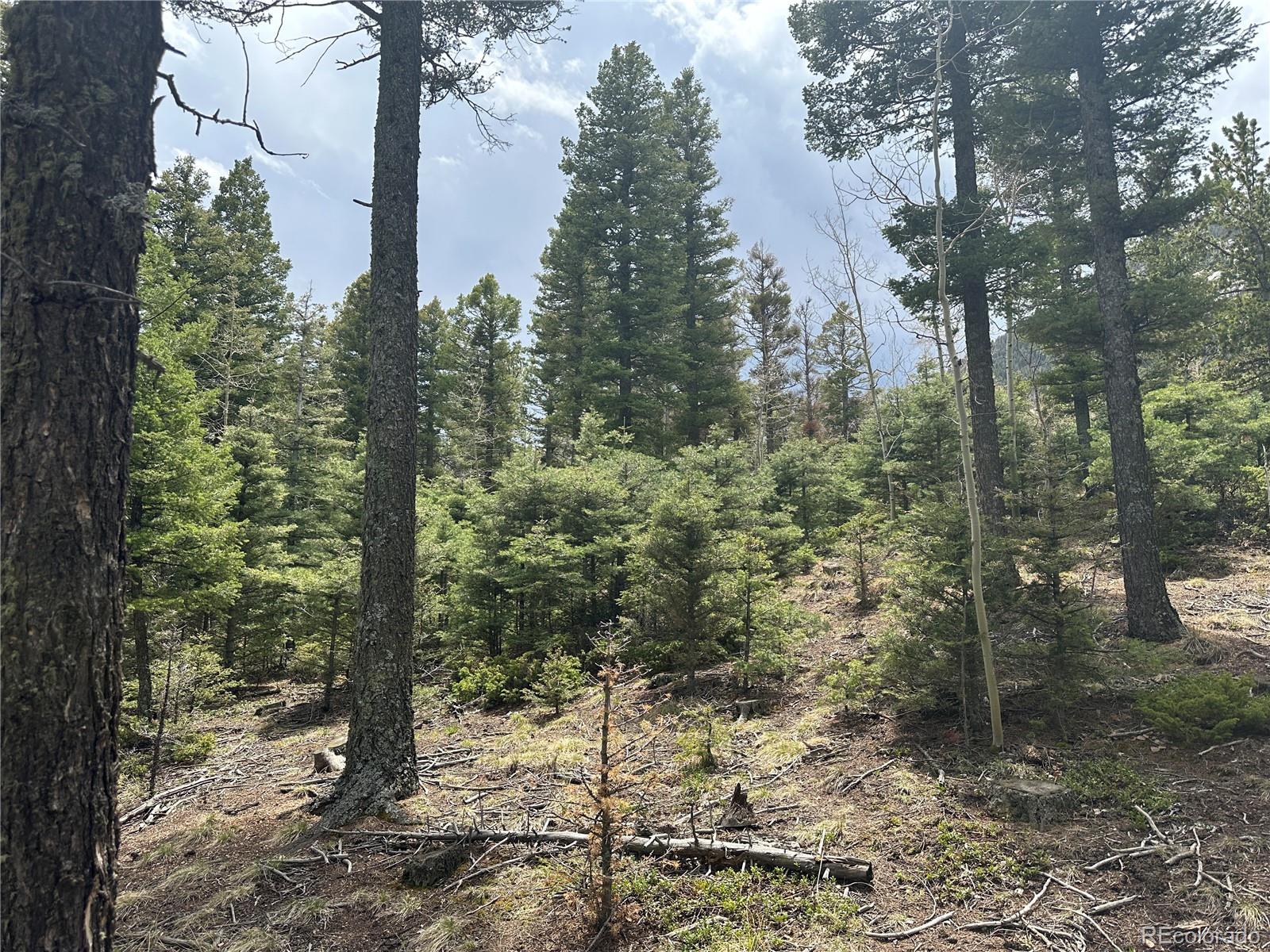 357 Big Horn, Manitou Springs, CO 80829, ,Land,For Sale,Big Horn,REC9162027