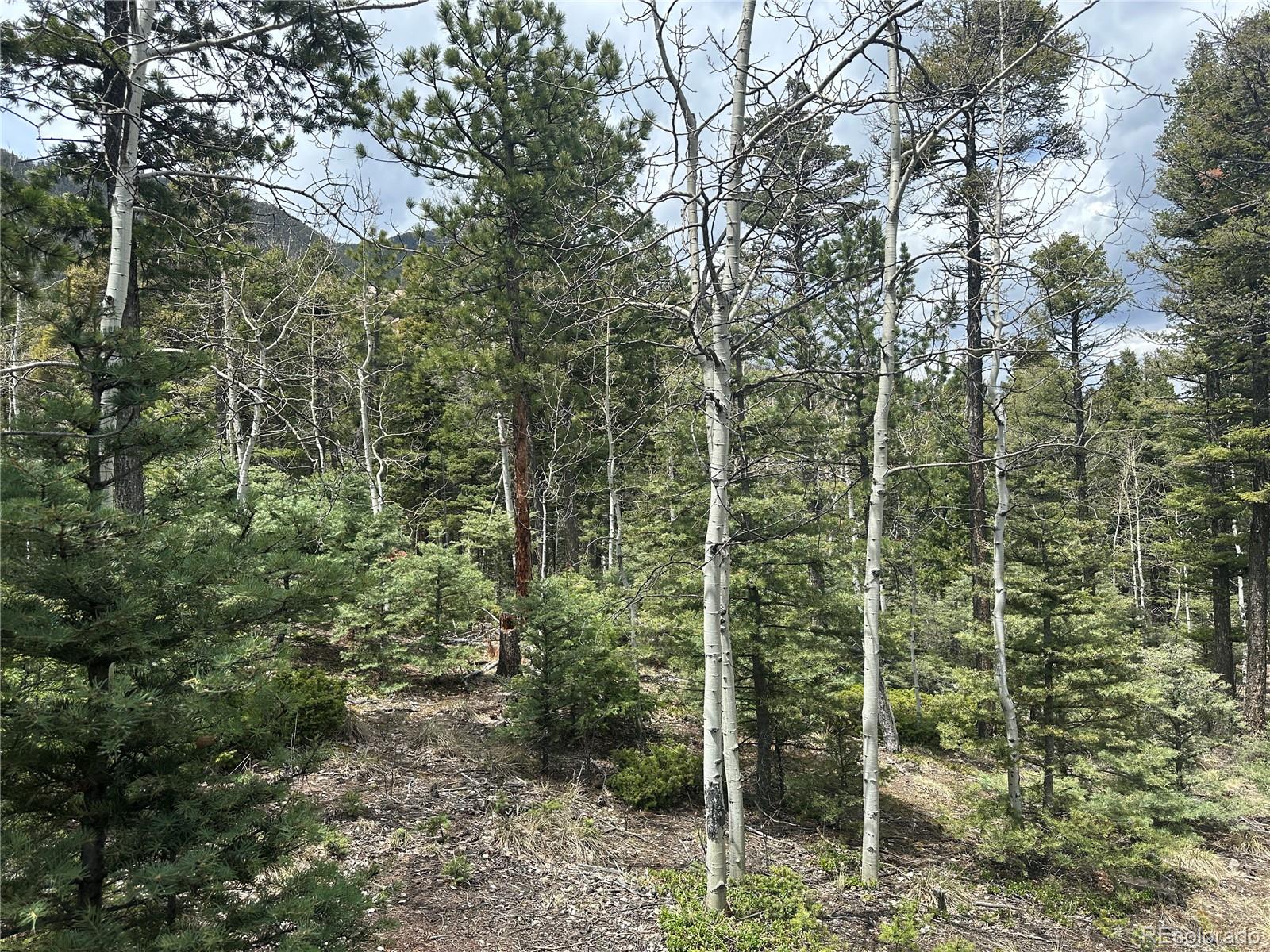 357 Big Horn, Manitou Springs, CO 80829, ,Land,For Sale,Big Horn,REC9162027