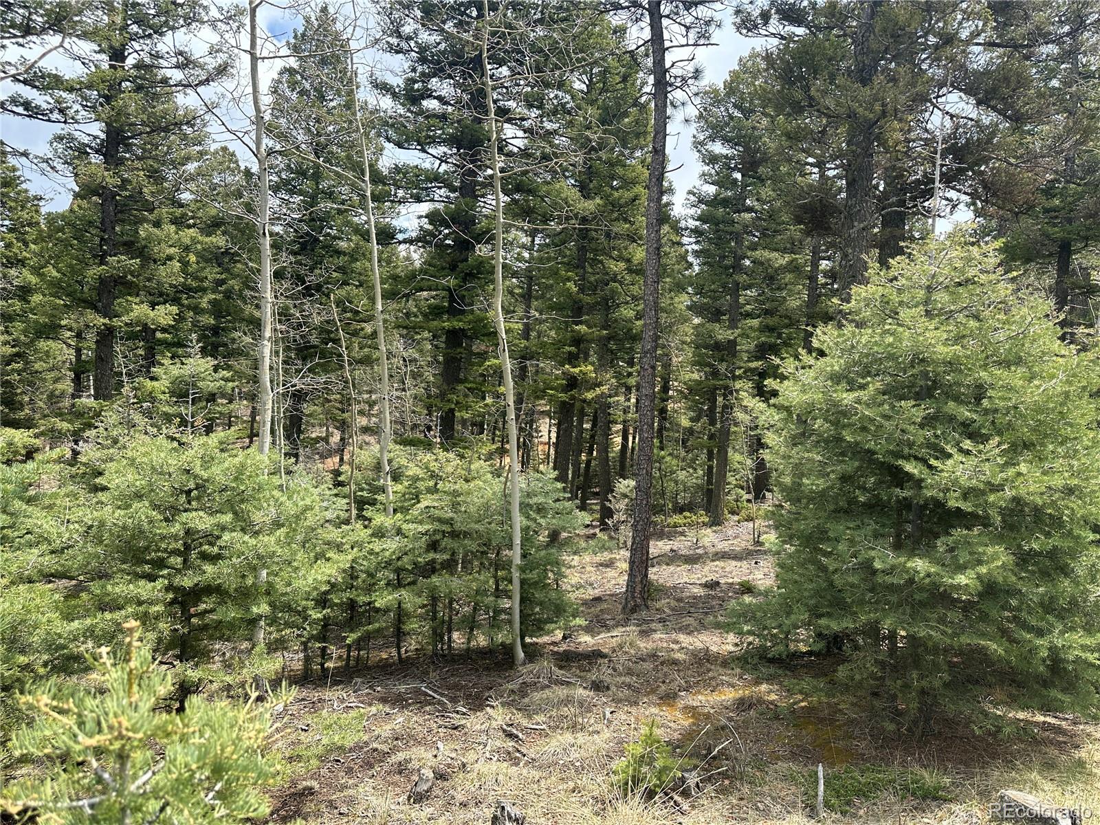 357 Big Horn, Manitou Springs, CO 80829, ,Land,For Sale,Big Horn,REC9162027