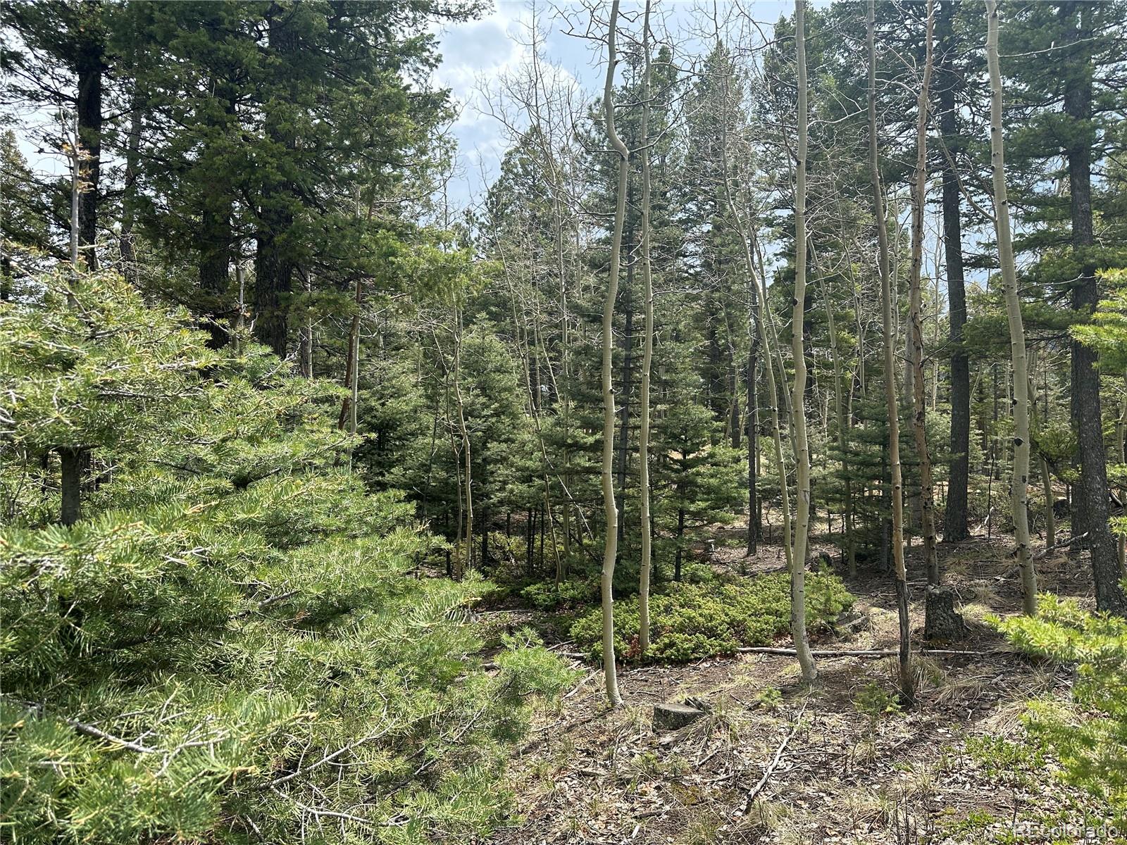 357 Big Horn, Manitou Springs, CO 80829, ,Land,For Sale,Big Horn,REC9162027