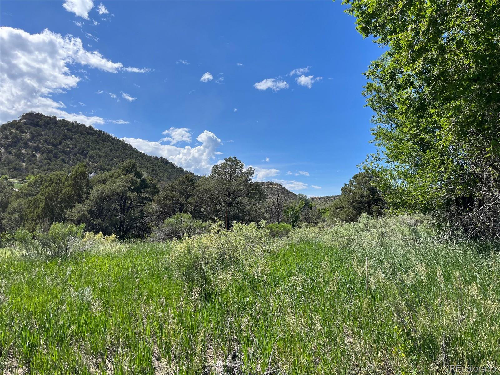 TBD Willow, Trinidad, CO 81082, ,Land,For Sale,TBD Willow,REC5136835