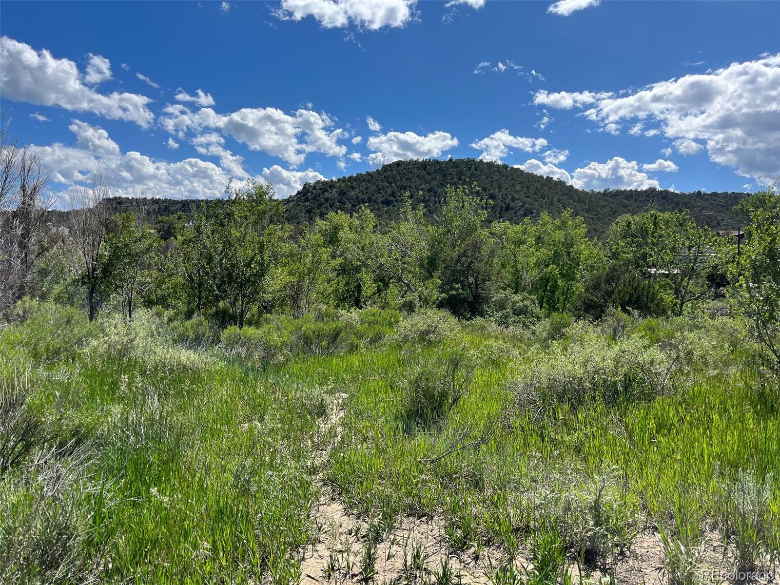 TBD Willow, Trinidad, CO 81082, ,Land,For Sale,TBD Willow,REC5136835