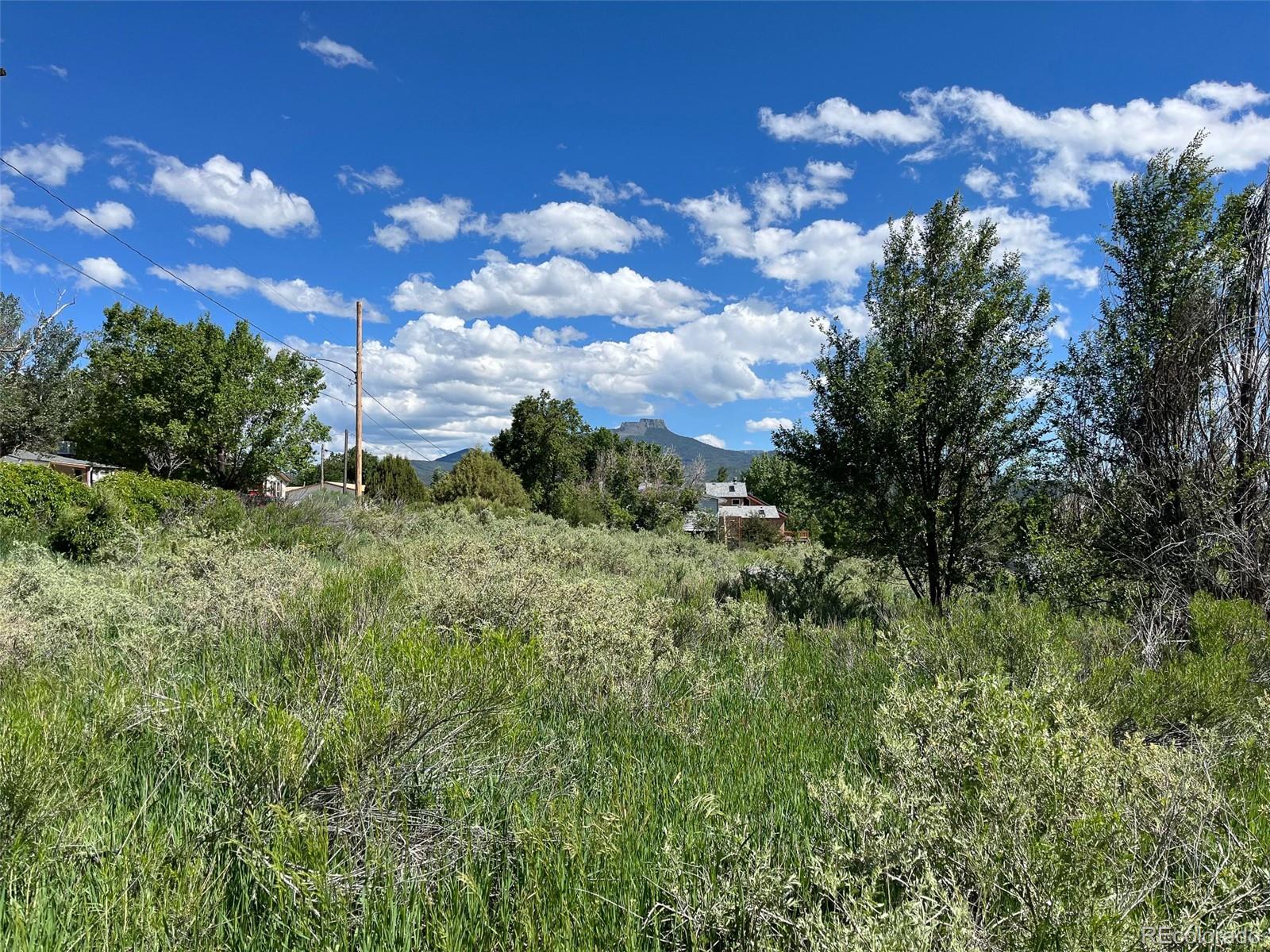 TBD Willow, Trinidad, CO 81082, ,Land,For Sale,TBD Willow,REC5136835
