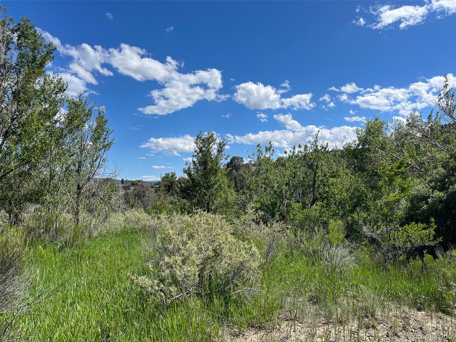 TBD Willow, Trinidad, CO 81082, ,Land,For Sale,TBD Willow,REC5136835