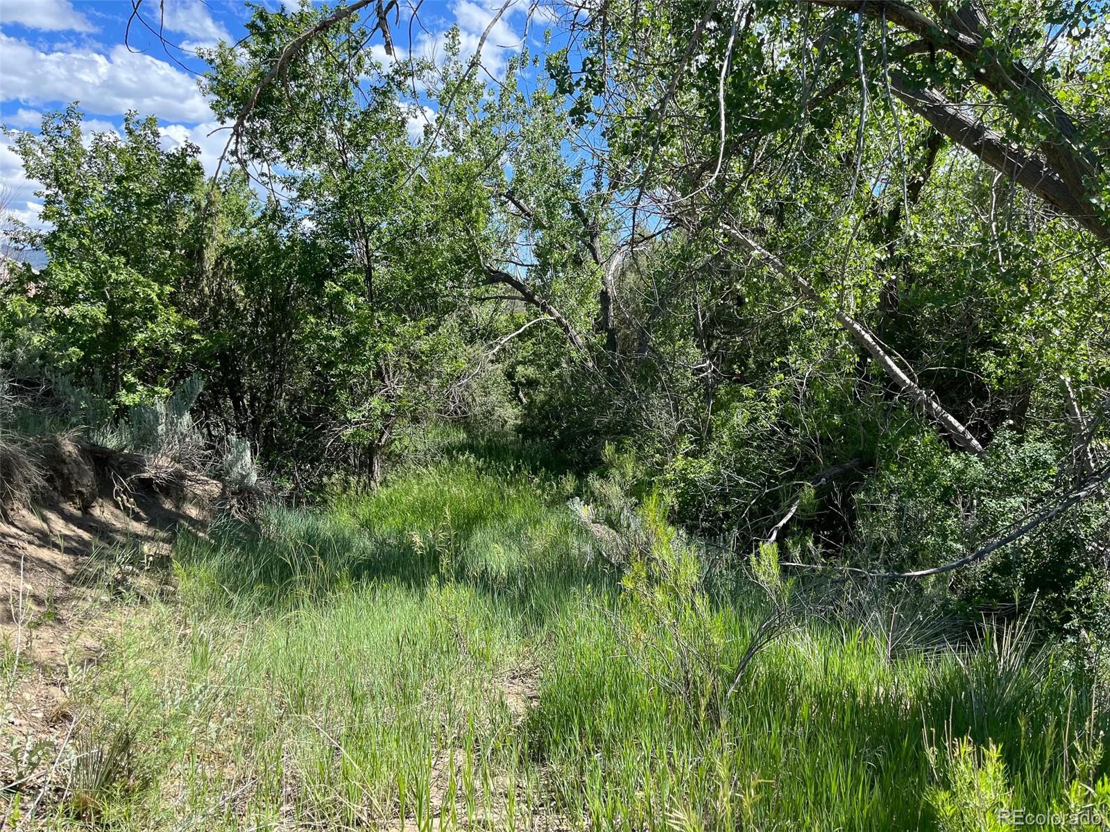TBD Willow, Trinidad, CO 81082, ,Land,For Sale,TBD Willow,REC5136835
