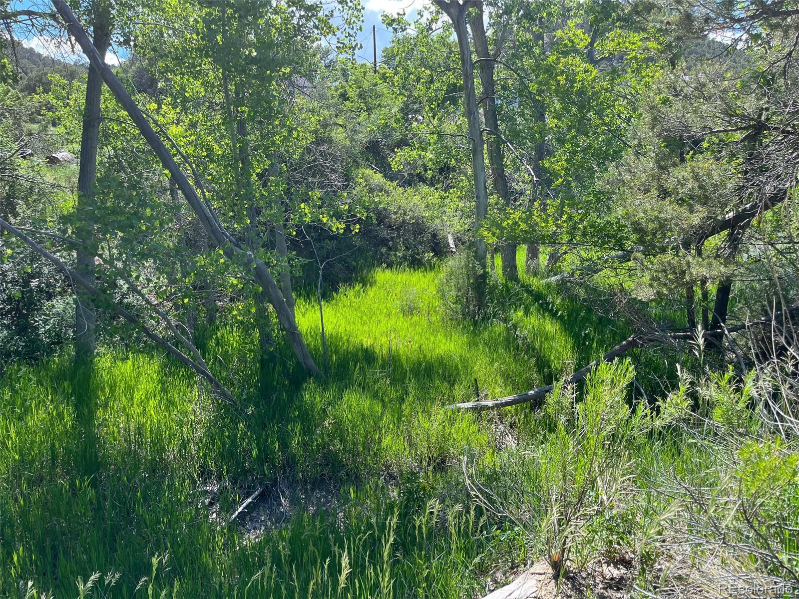 TBD Willow, Trinidad, CO 81082, ,Land,For Sale,TBD Willow,REC5136835