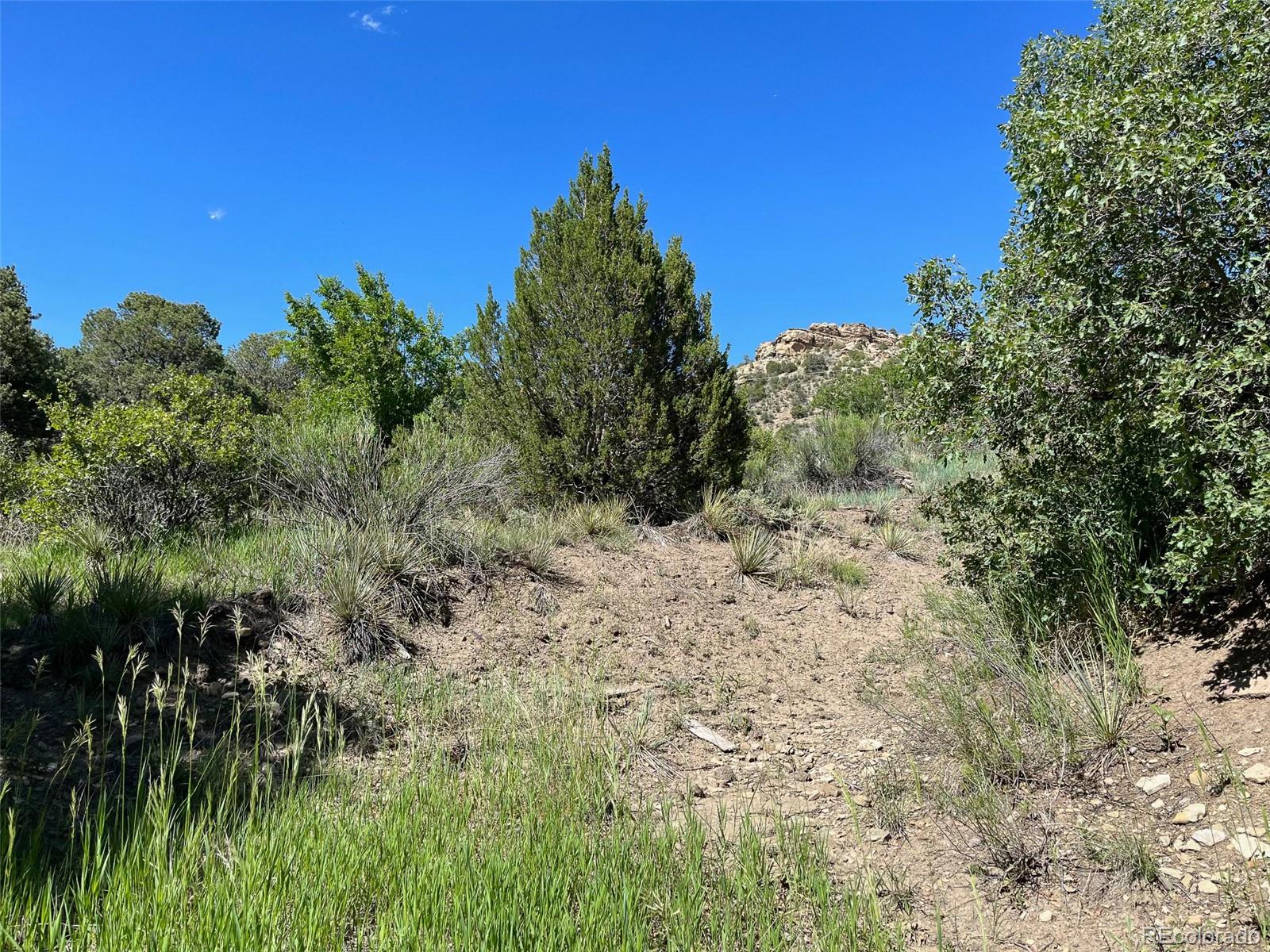 TBD Willow, Trinidad, CO 81082, ,Land,For Sale,TBD Willow,REC5136835