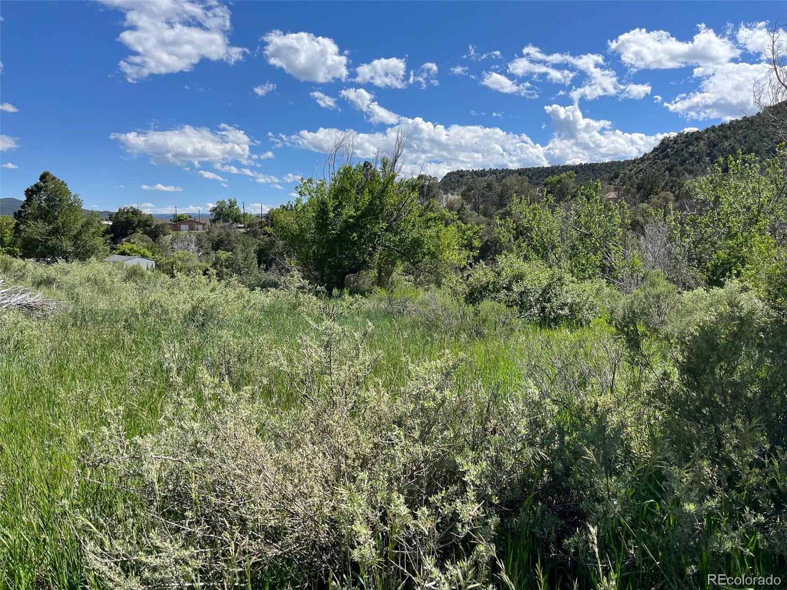 TBD Willow, Trinidad, CO 81082, ,Land,For Sale,TBD Willow,REC5136835