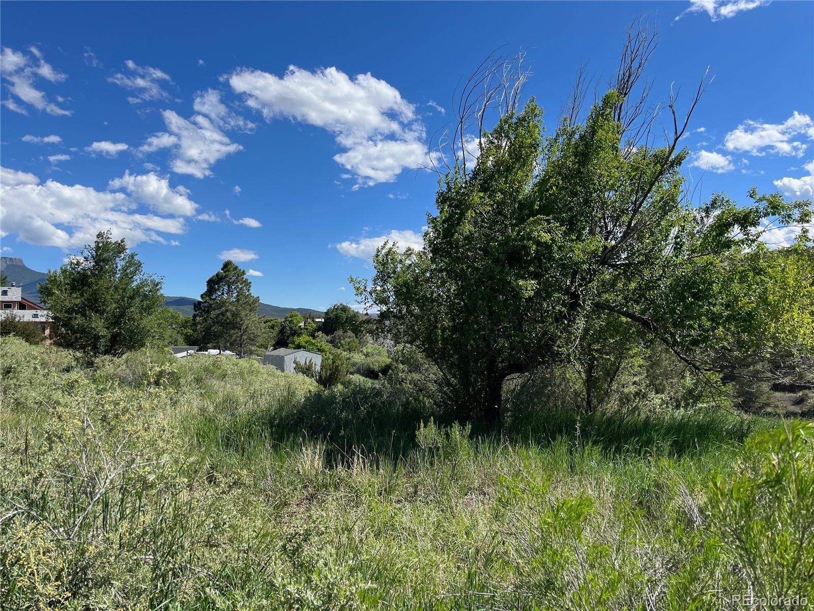 TBD Willow, Trinidad, CO 81082, ,Land,For Sale,TBD Willow,REC5136835