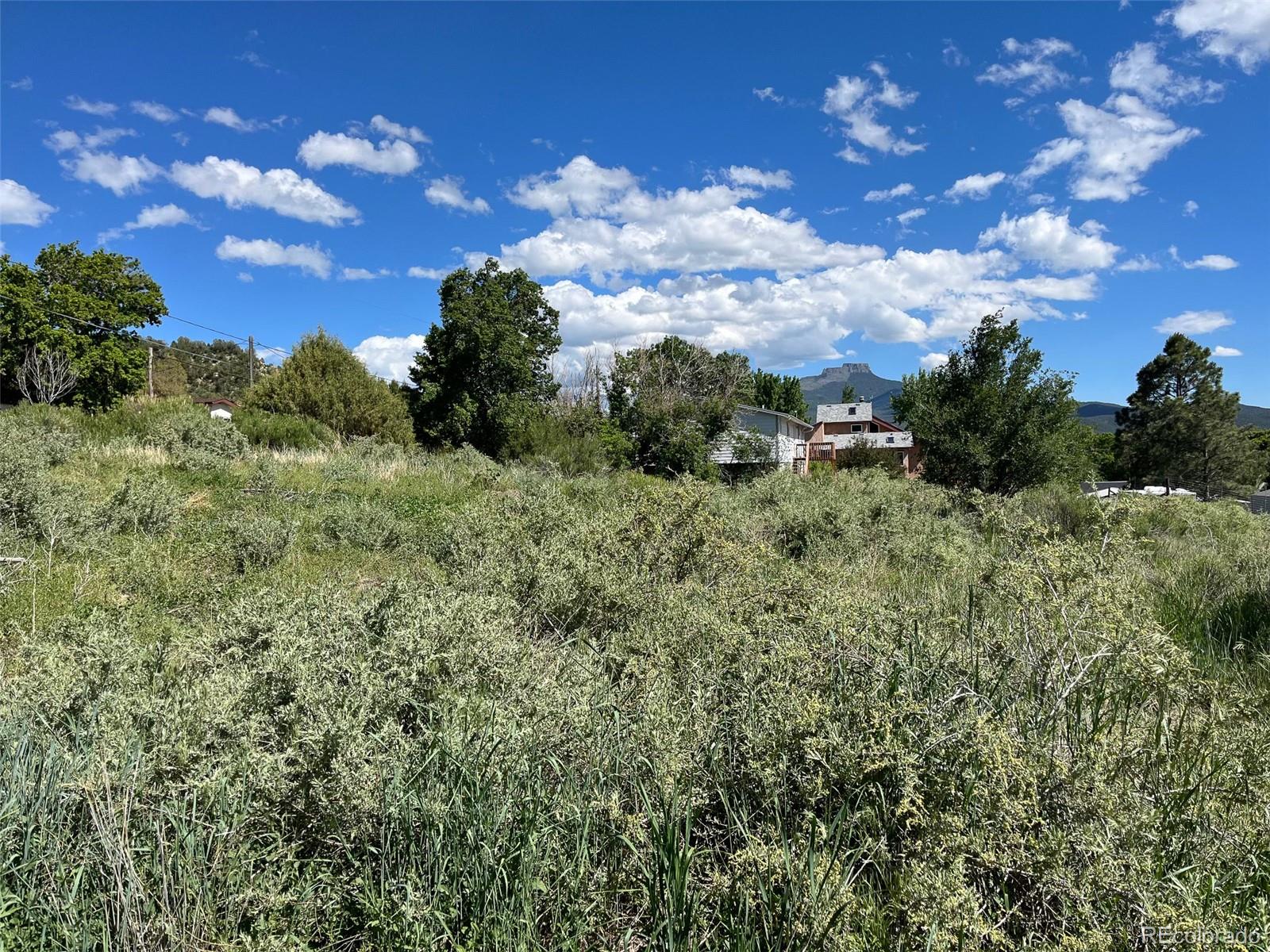 TBD Willow, Trinidad, CO 81082, ,Land,For Sale,TBD Willow,REC5136835