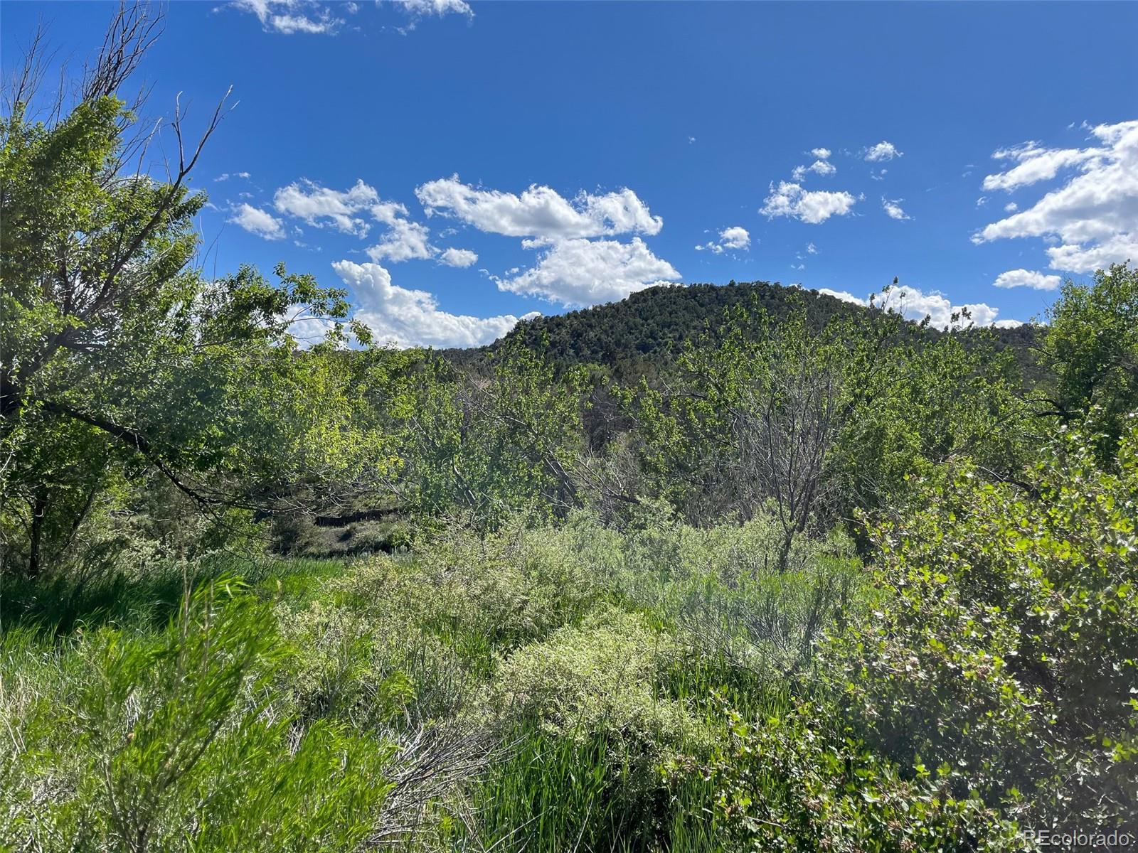 TBD Willow, Trinidad, CO 81082, ,Land,For Sale,TBD Willow,REC5136835