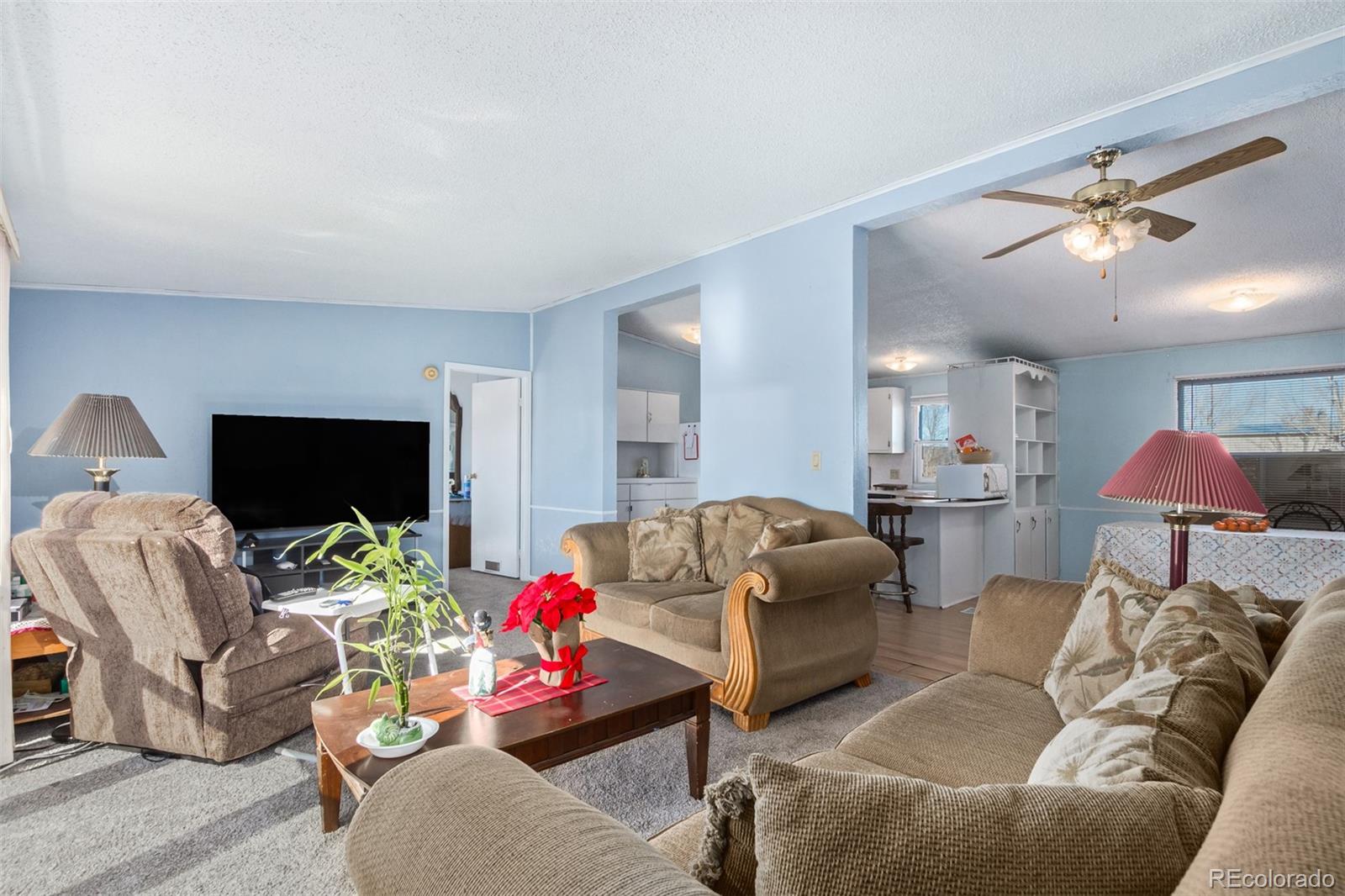 501 Zante Way, Lochbuie, CO 80603, 3 Bedrooms Bedrooms, ,2 BathroomsBathrooms,Residential,For Sale,Zante,REC7036159