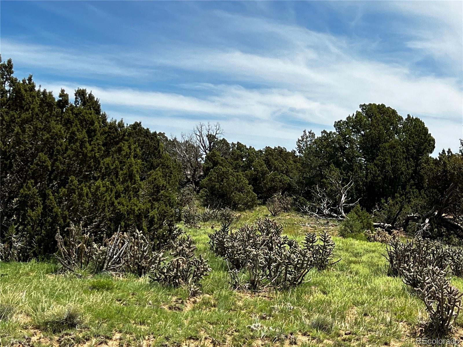 Lot 589 La Deora Boulevard, Walsenburg, CO 81089, ,Land,For Sale,La Deora,REC7823031