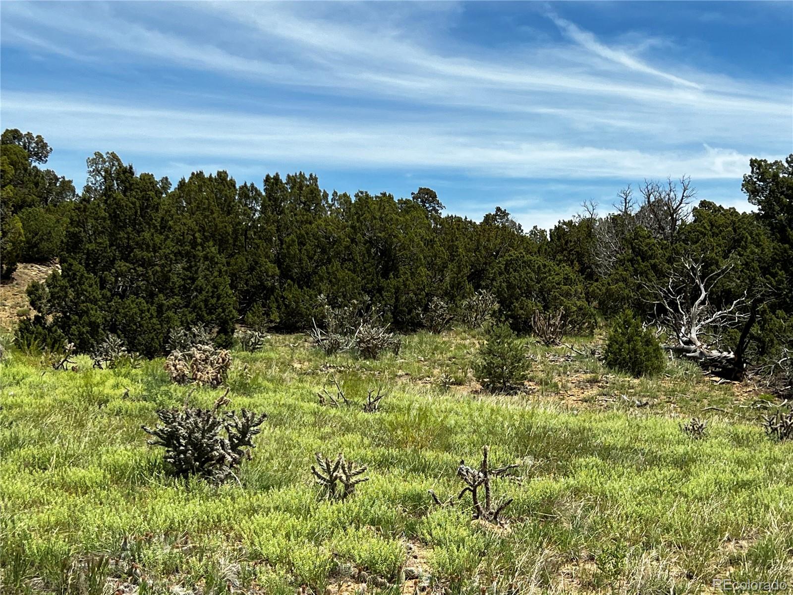 Lot 589 La Deora Boulevard, Walsenburg, CO 81089, ,Land,For Sale,La Deora,REC7823031