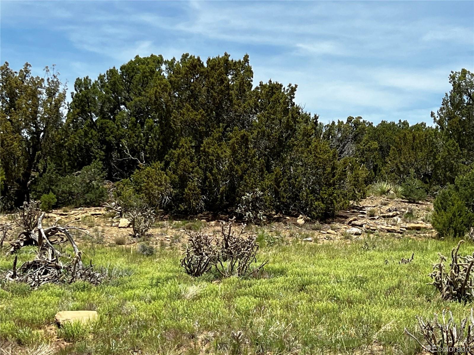 Lot 589 La Deora Boulevard, Walsenburg, CO 81089, ,Land,For Sale,La Deora,REC7823031