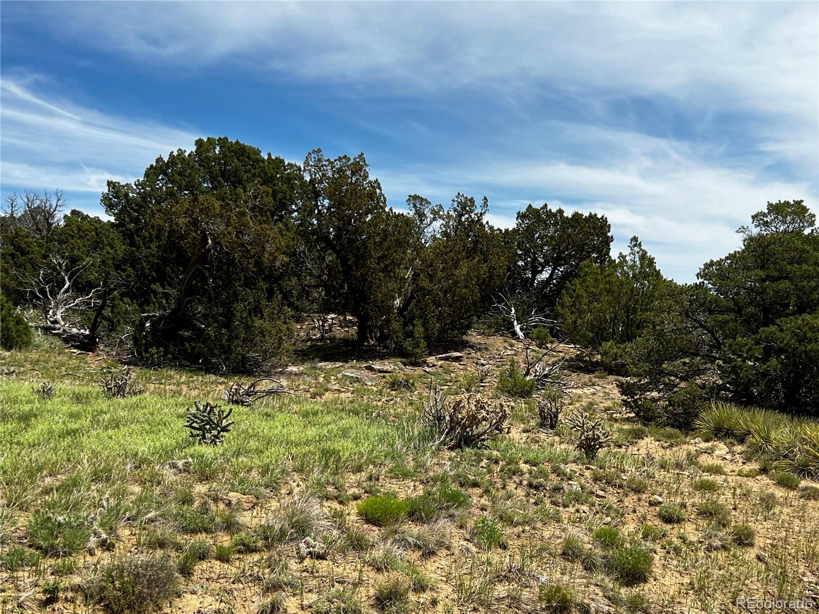 Lot 589 La Deora Boulevard, Walsenburg, CO 81089, ,Land,For Sale,La Deora,REC7823031