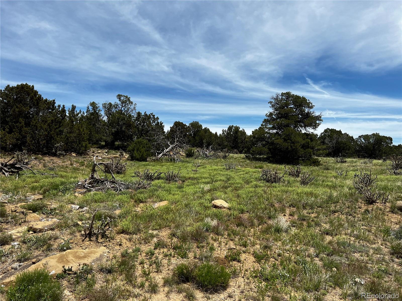 Lot 589 La Deora Boulevard, Walsenburg, CO 81089, ,Land,For Sale,La Deora,REC7823031