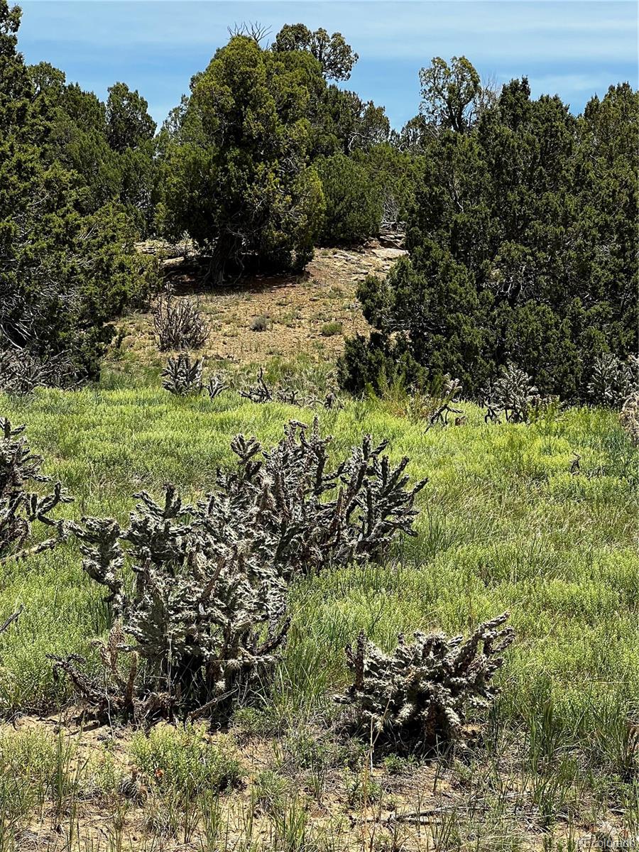 Lot 589 La Deora Boulevard, Walsenburg, CO 81089, ,Land,For Sale,La Deora,REC7823031